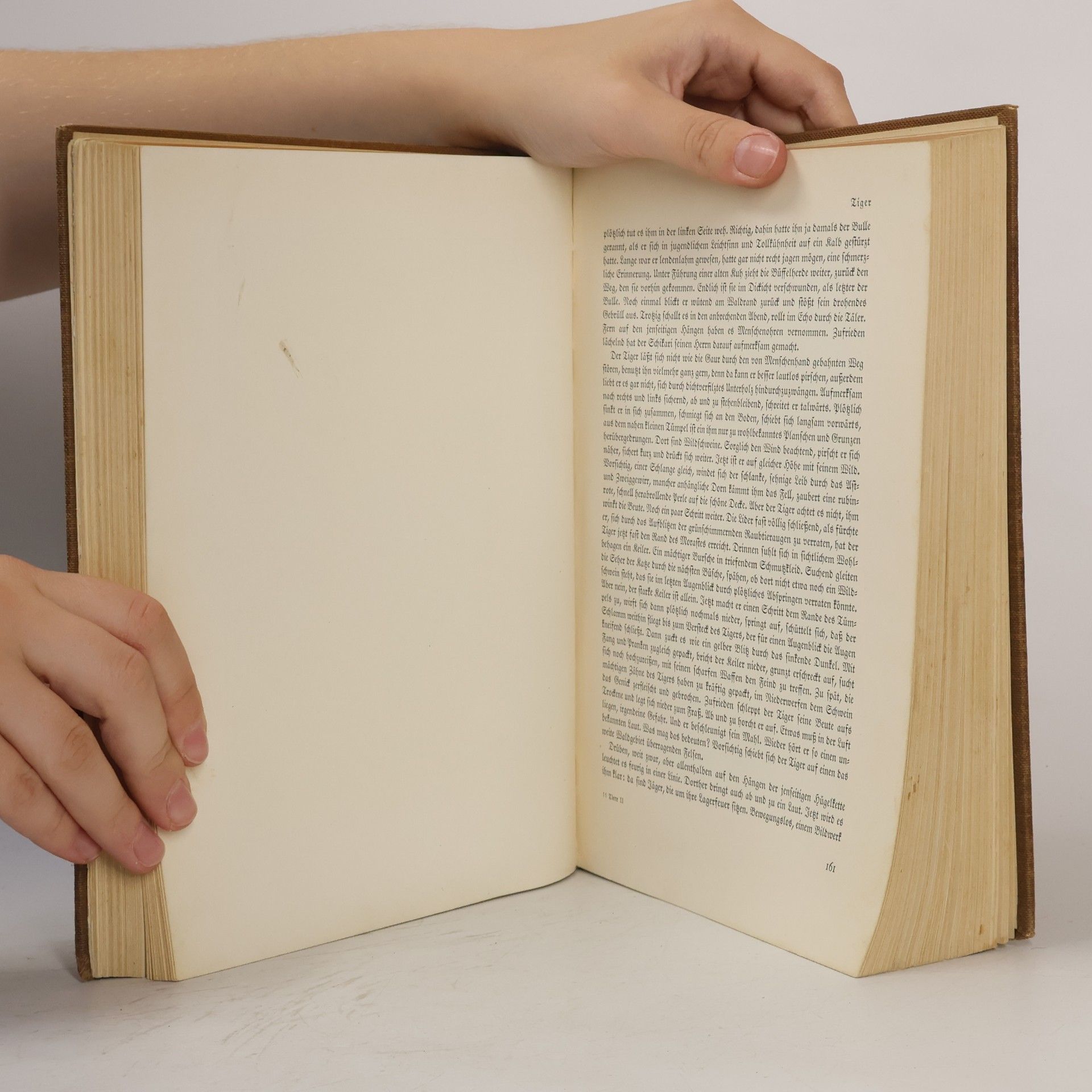 Collectif d'auteurs Das Reich der Tiere