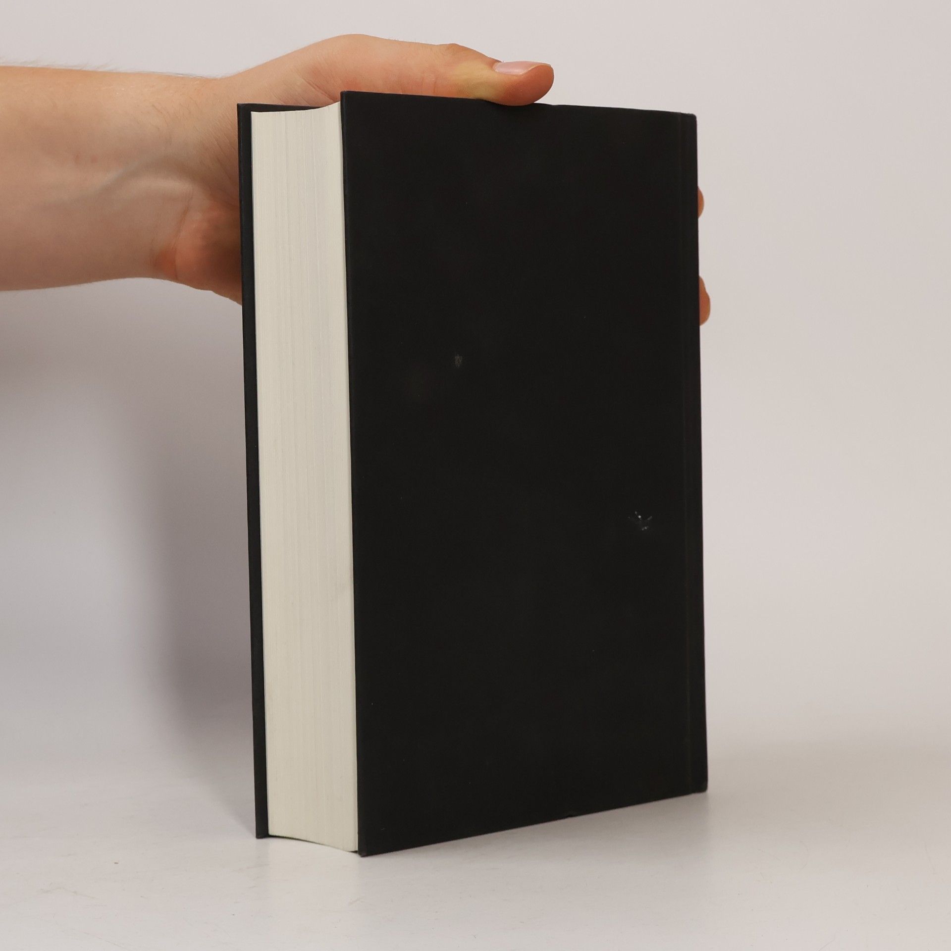 Tana French Der Sucher