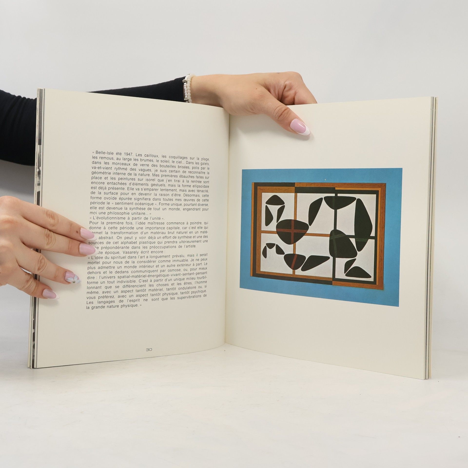 Collectif d'auteurs Musée Vasarely Gordes/Vaucluse