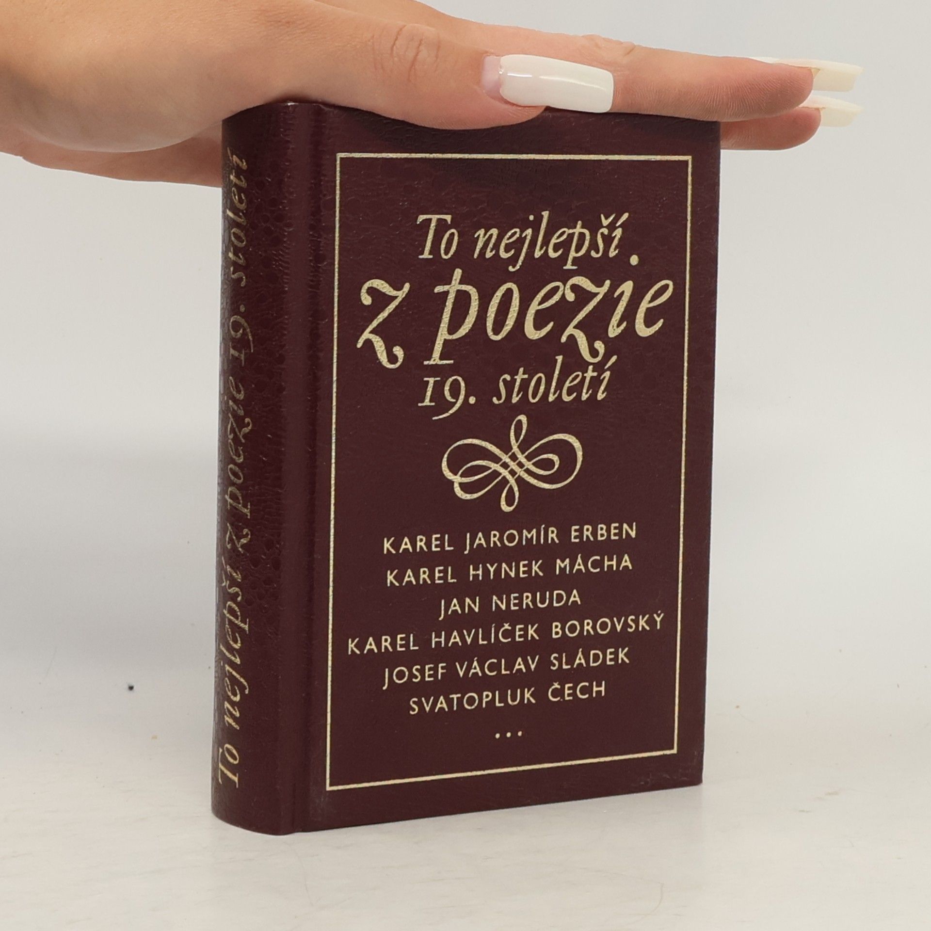 Collectif d'auteurs To nejlepší z poezie 19. století