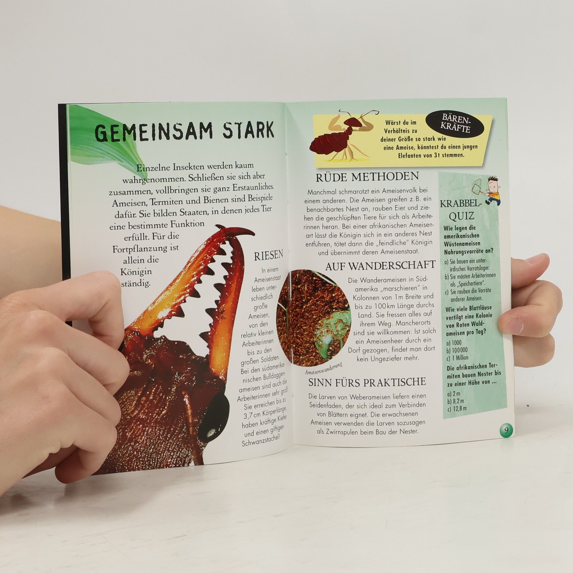 Autores varios Spinnen und Insekten