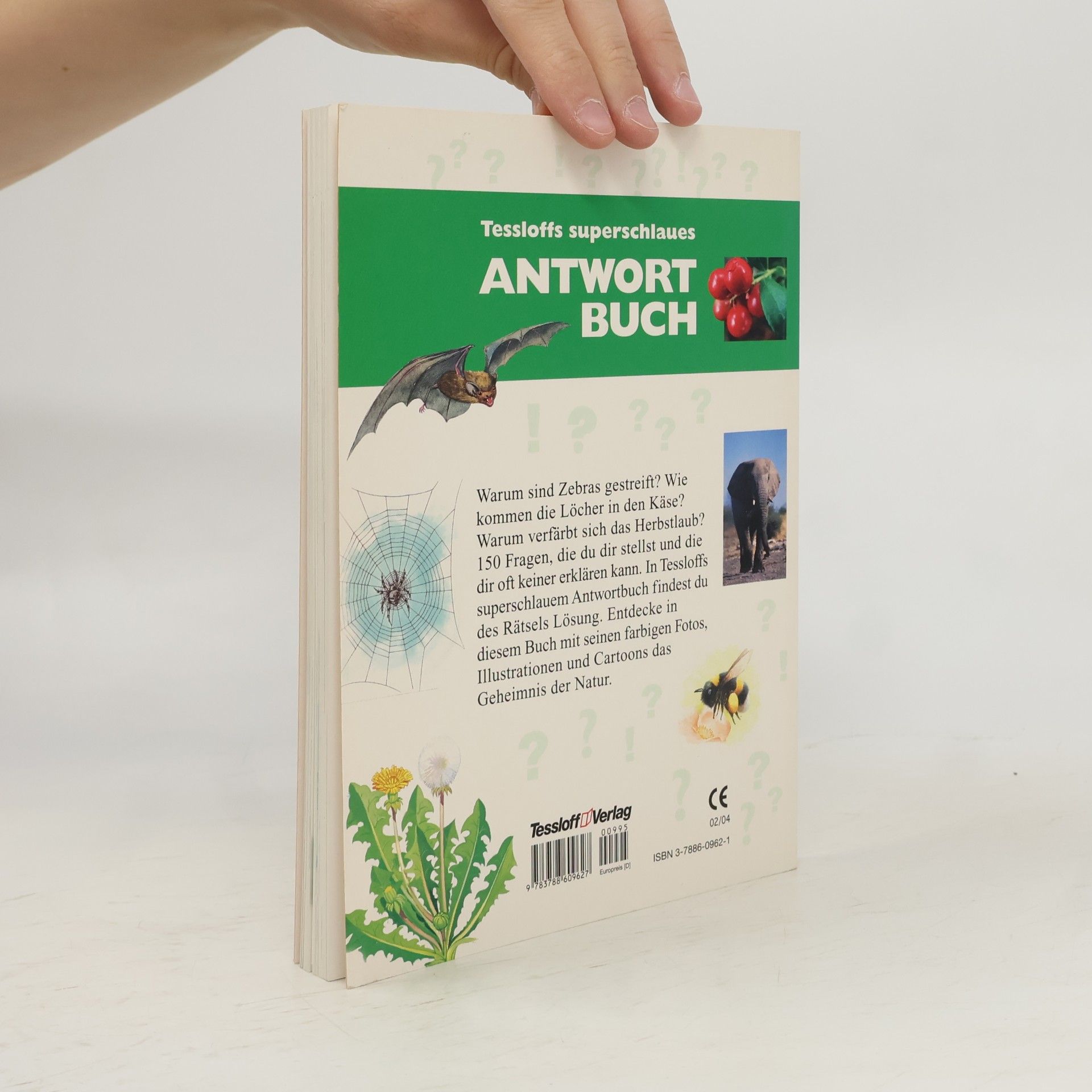 Rainer Köthe Tessloffs superschlaues Antwortbuch