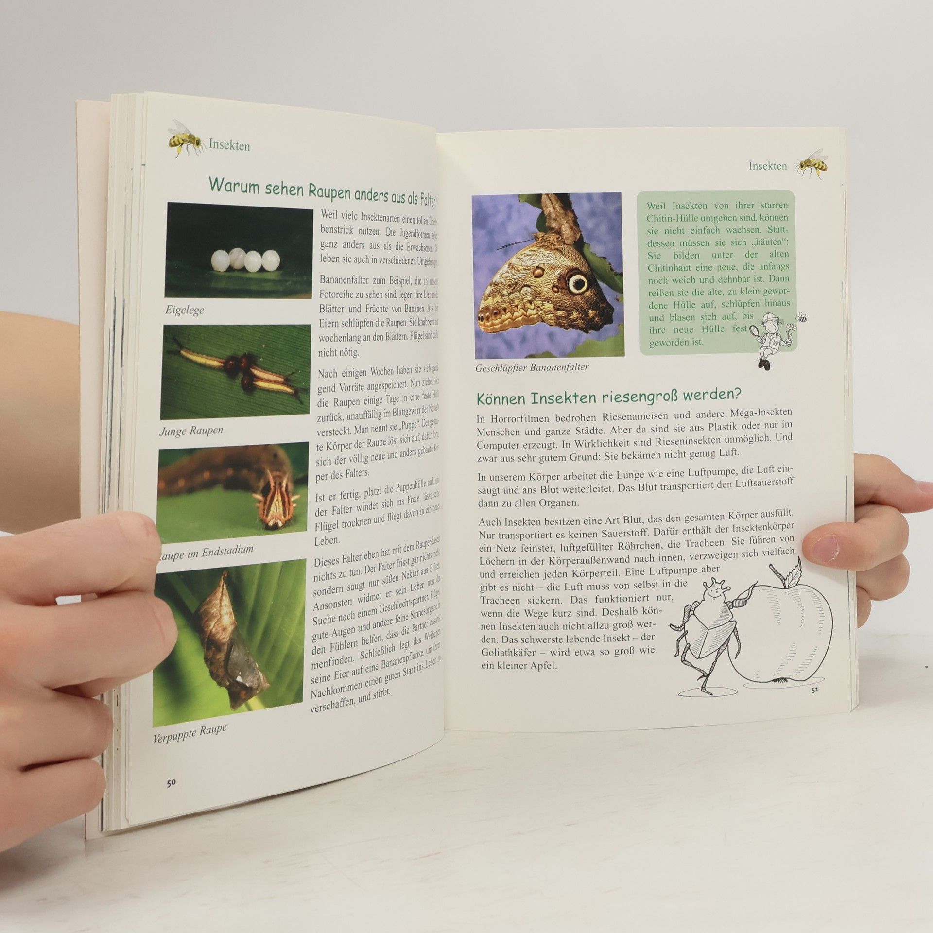 Rainer Köthe Tessloffs superschlaues Antwortbuch