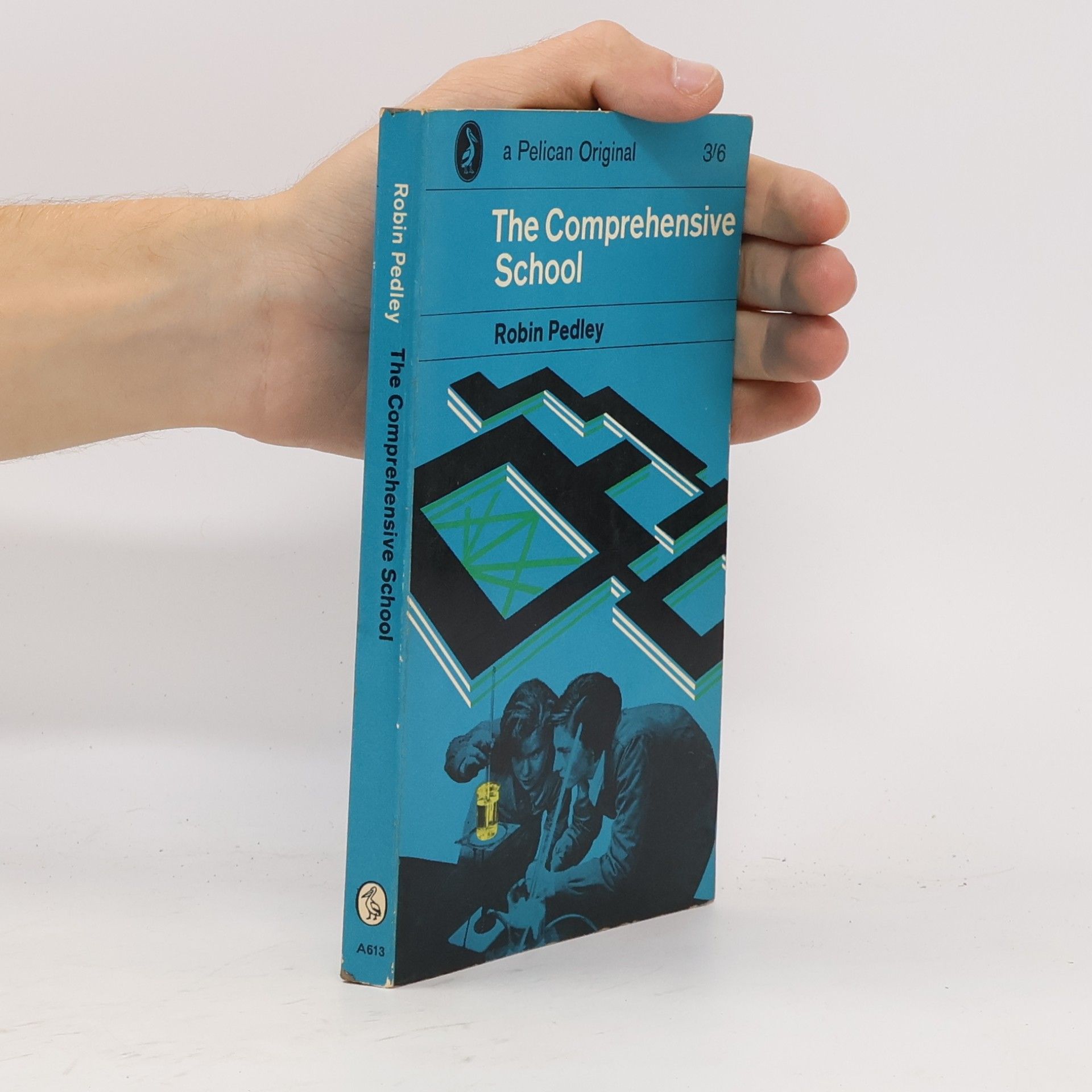 Robin Pedley The Comprehensive School