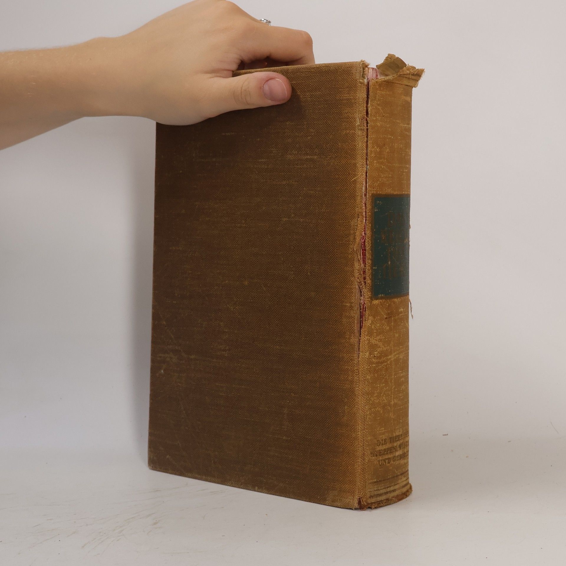 Autorenkollektiv Das Reich der Tiere