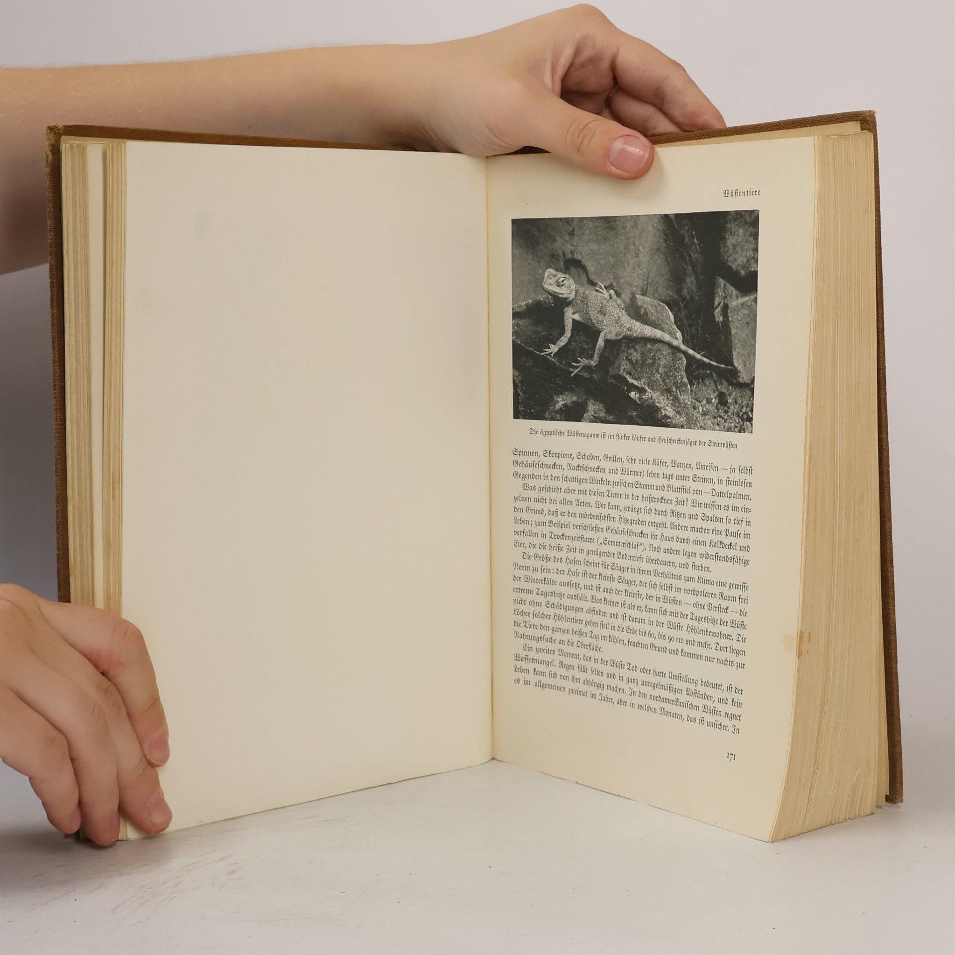 Autorenkollektiv Das Reich der Tiere