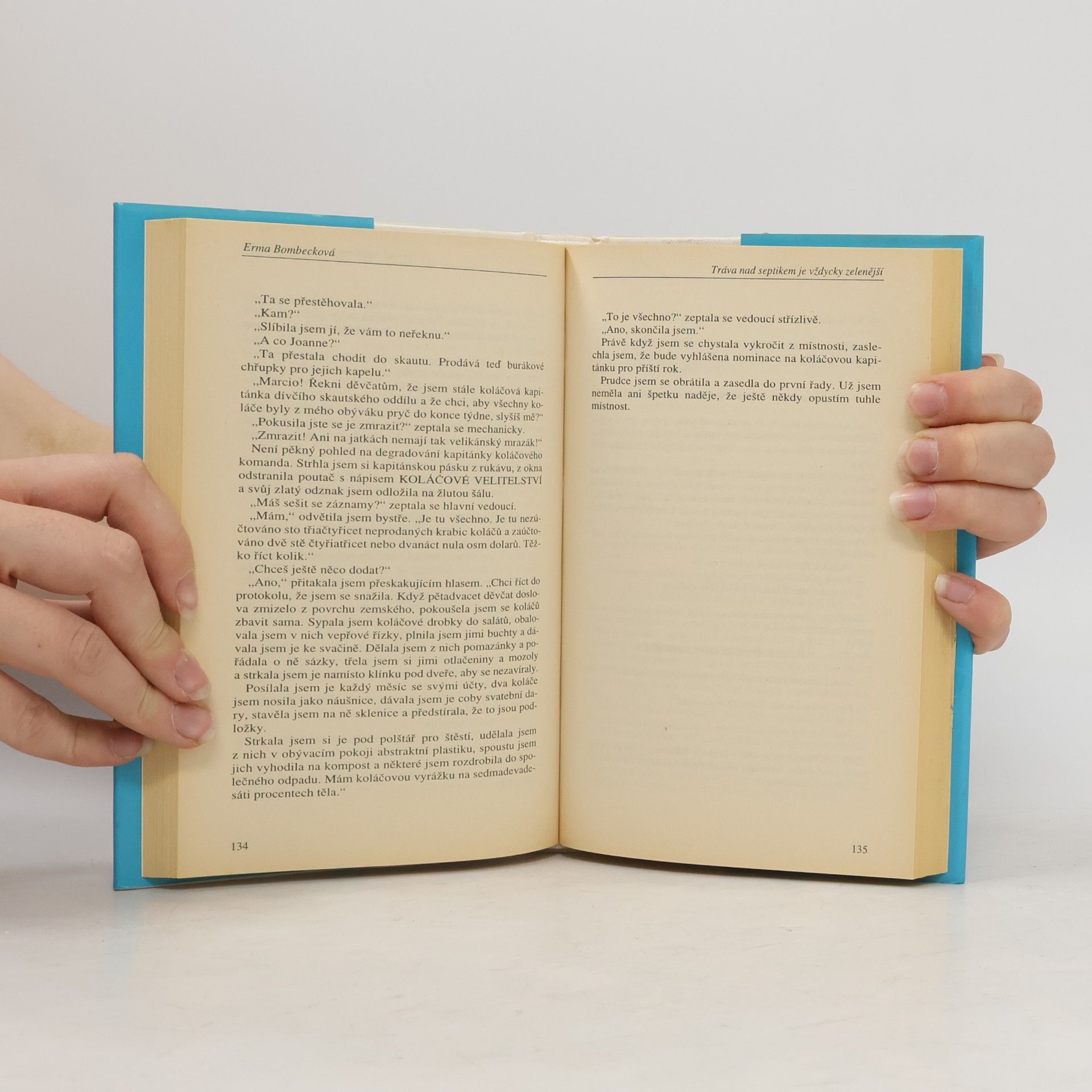 Erma Bombeck Žena: jak (ne)zvládnout život