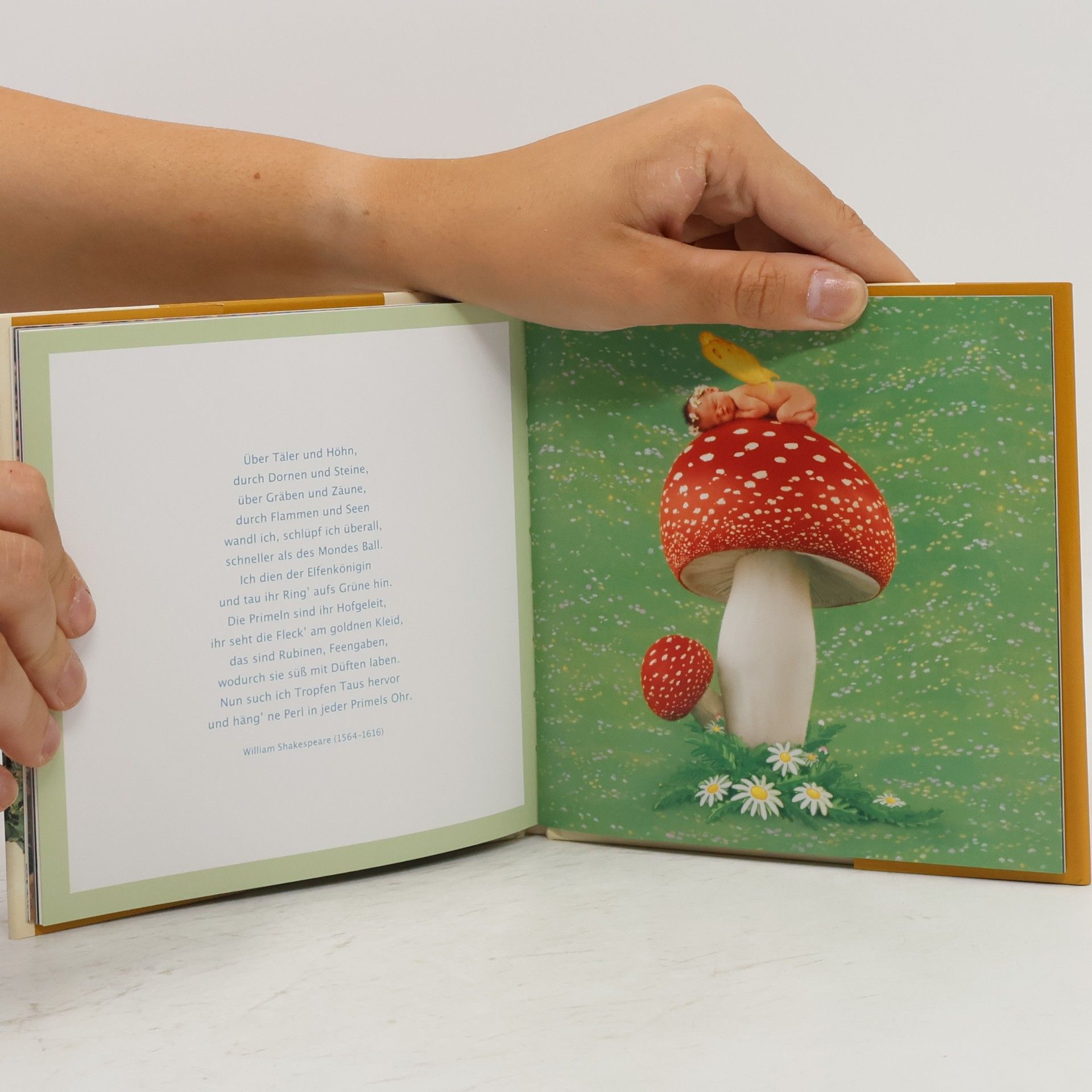 Anne Geddes Feenzauber