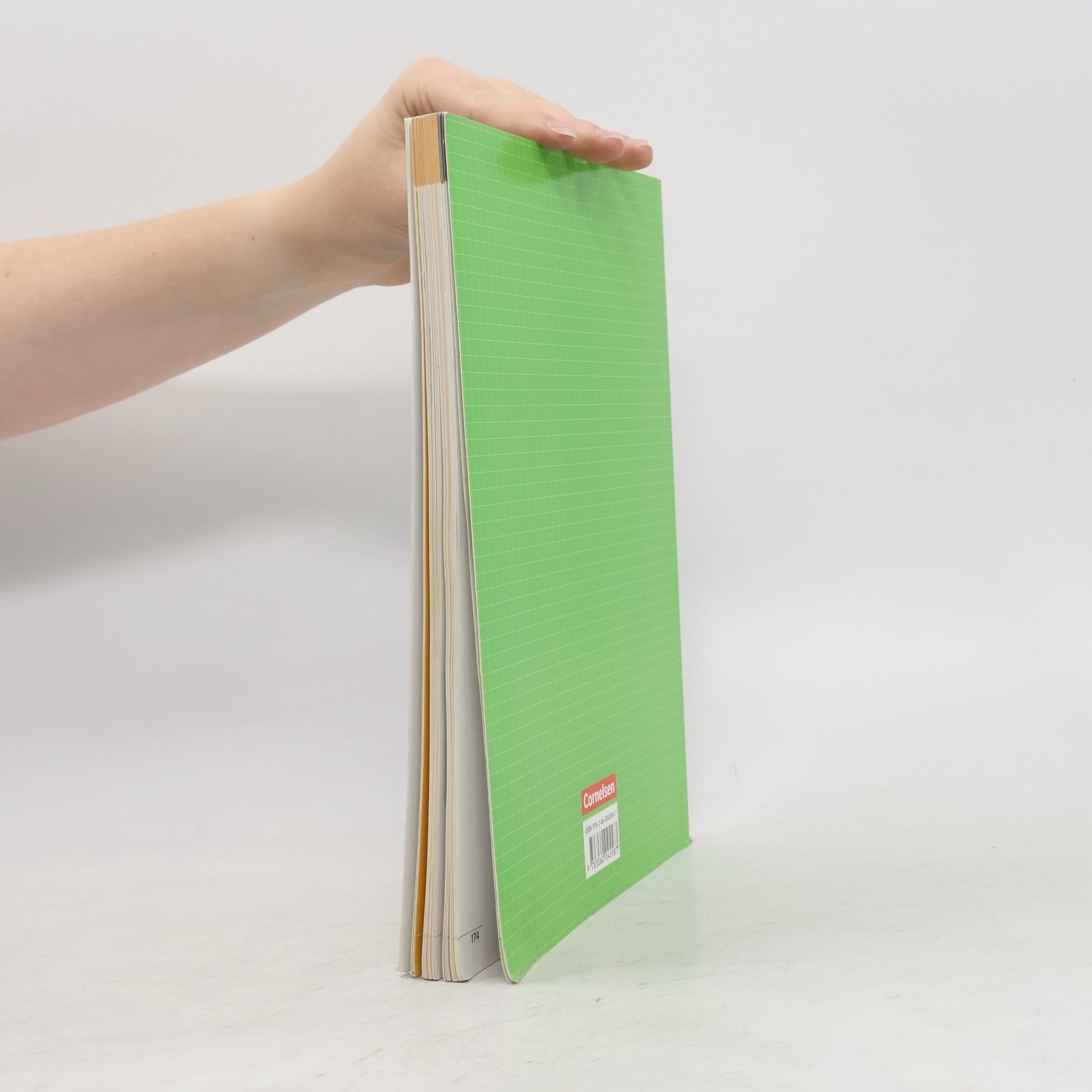 Ines Knospe Schlüssel zur Mathematik - 10: Mathematik