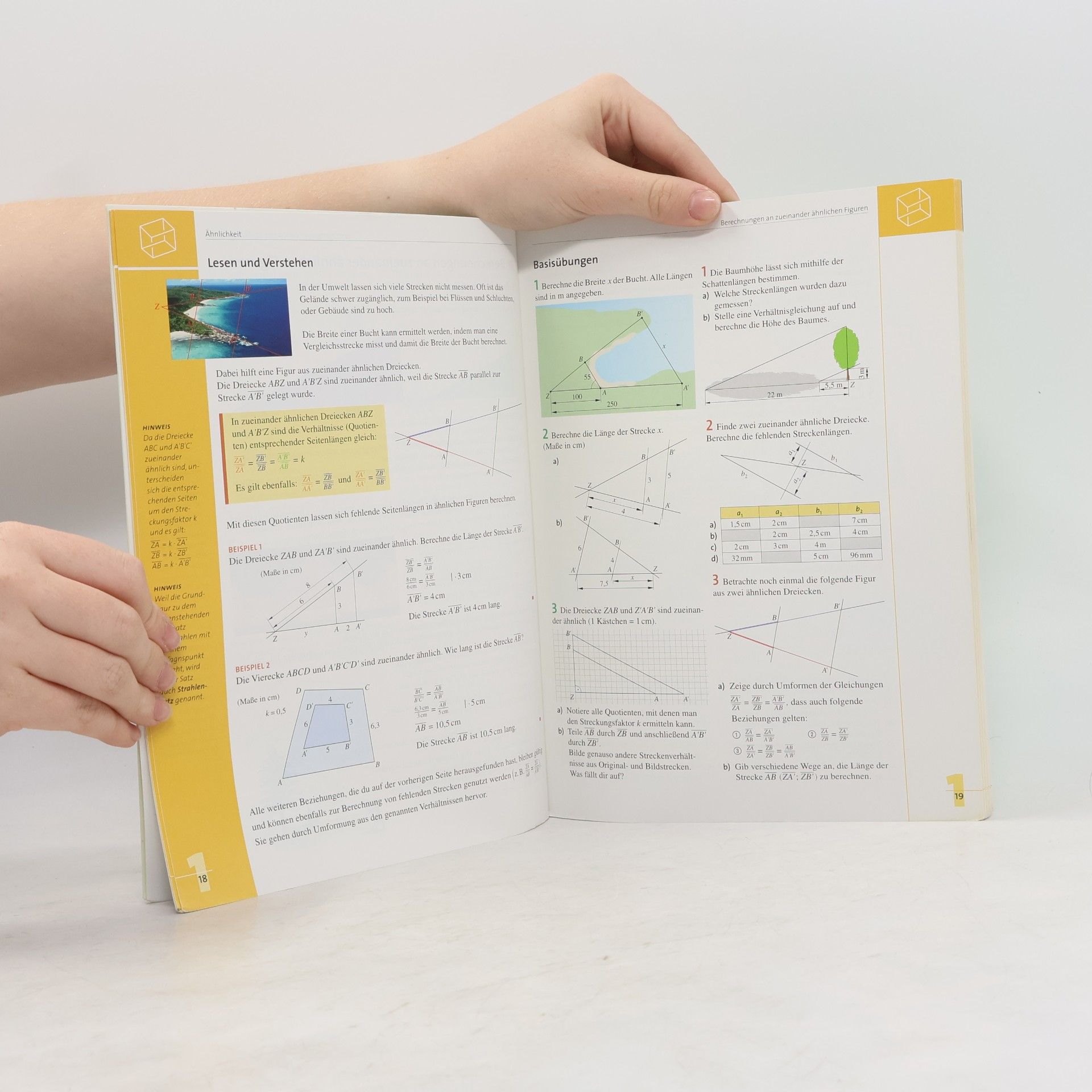 Ines Knospe Schlüssel zur Mathematik - 10: Mathematik