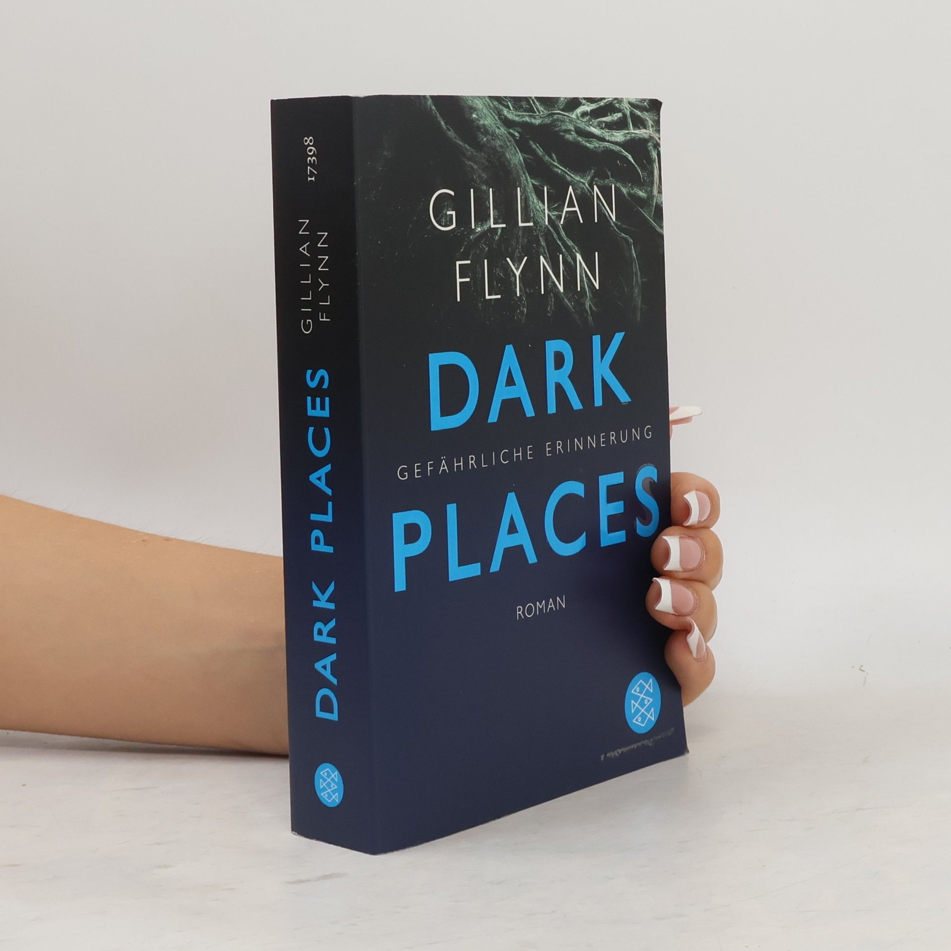 Gillian Flynn Dark Places - Gefährliche Erinnerung