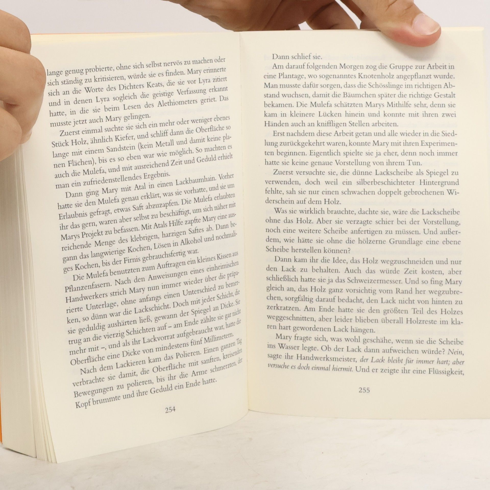 Philip Pullman Das Bernstein-Teleskop