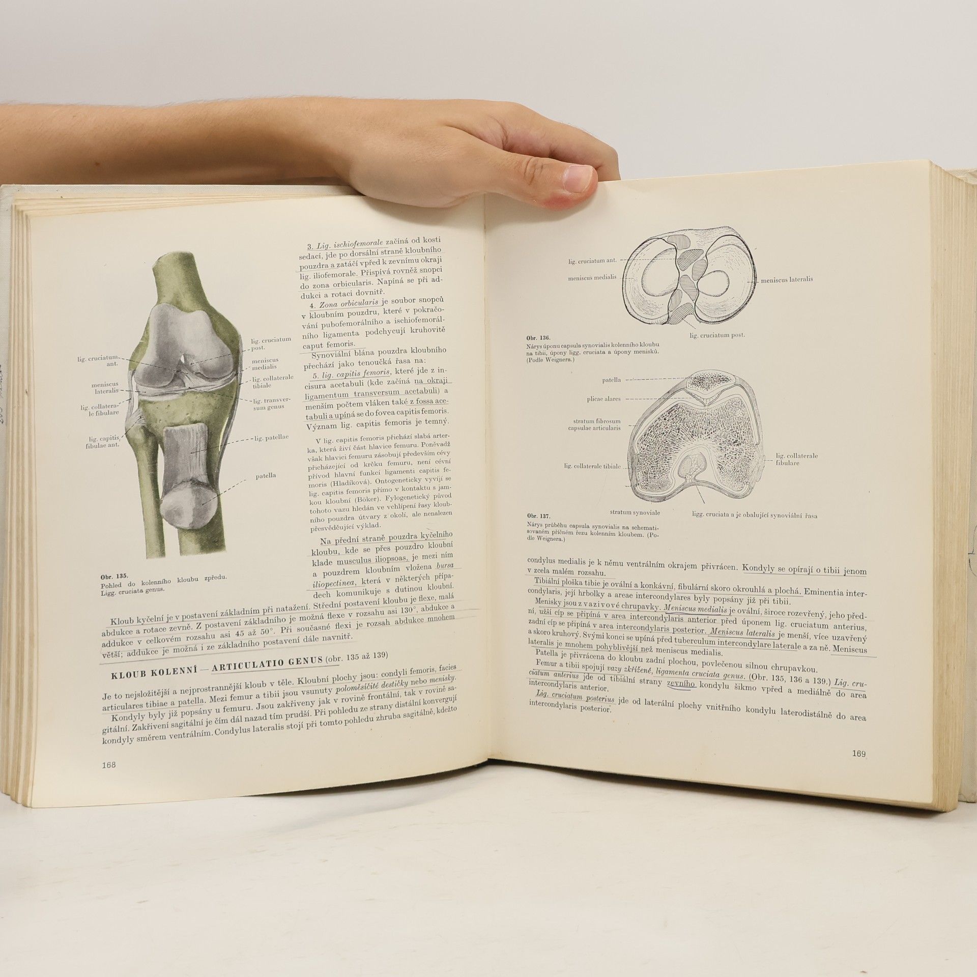 Kolektív autorov Soustavná anatomie člověka I.