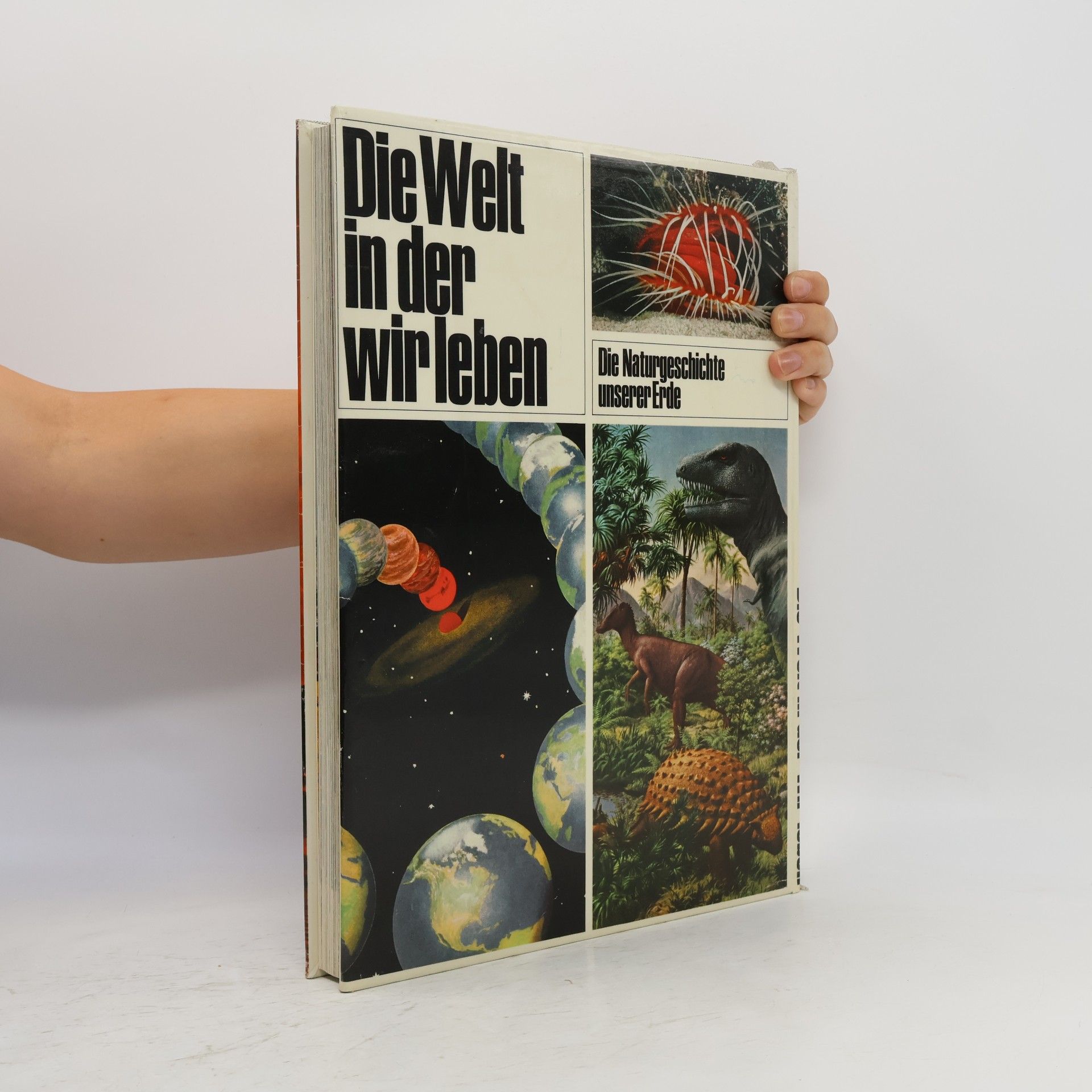 Kolektiv autorů Die Welt in der wir leben. Die Naturgeschichte unserer Erde