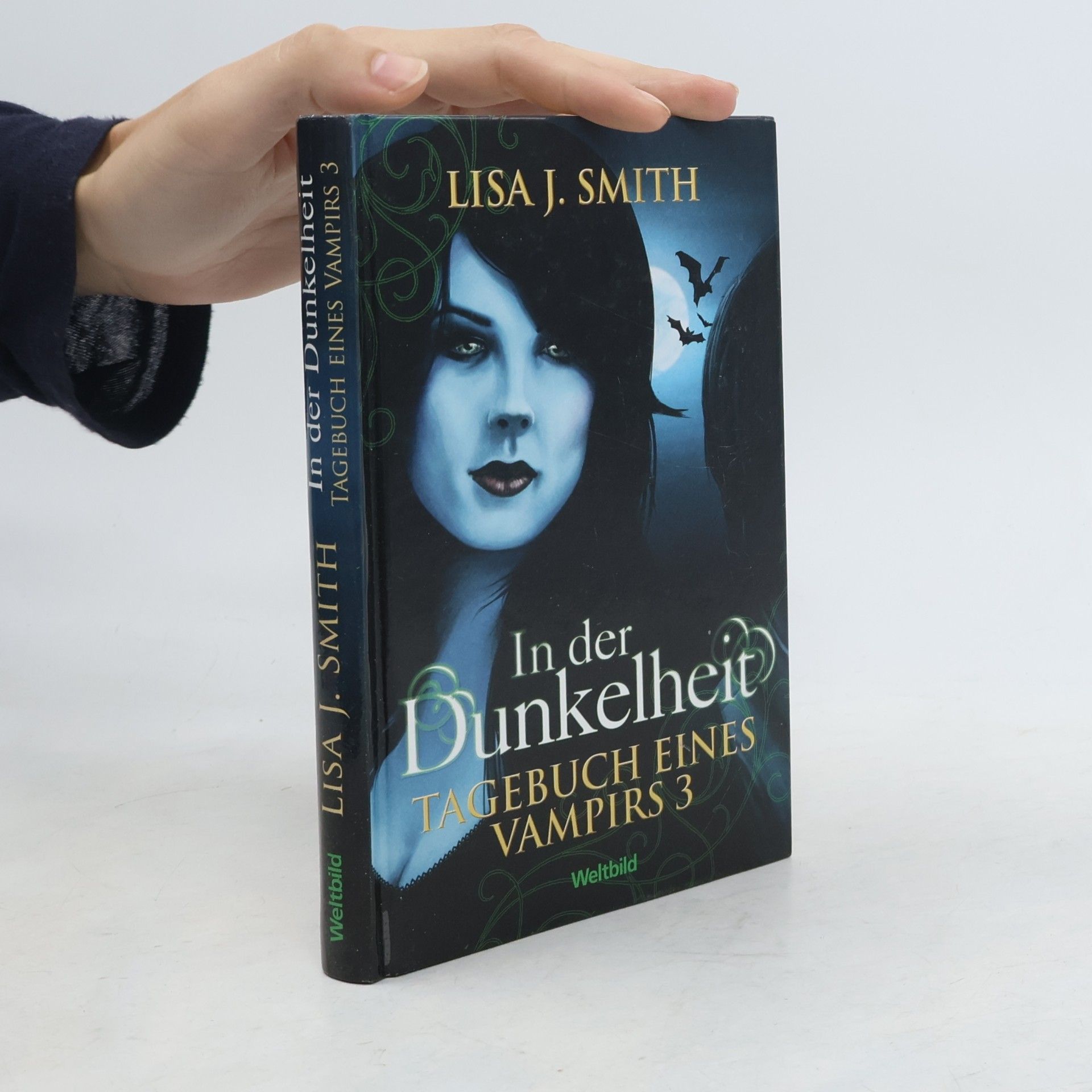 L. J. Smithová  In der Dunkelheit