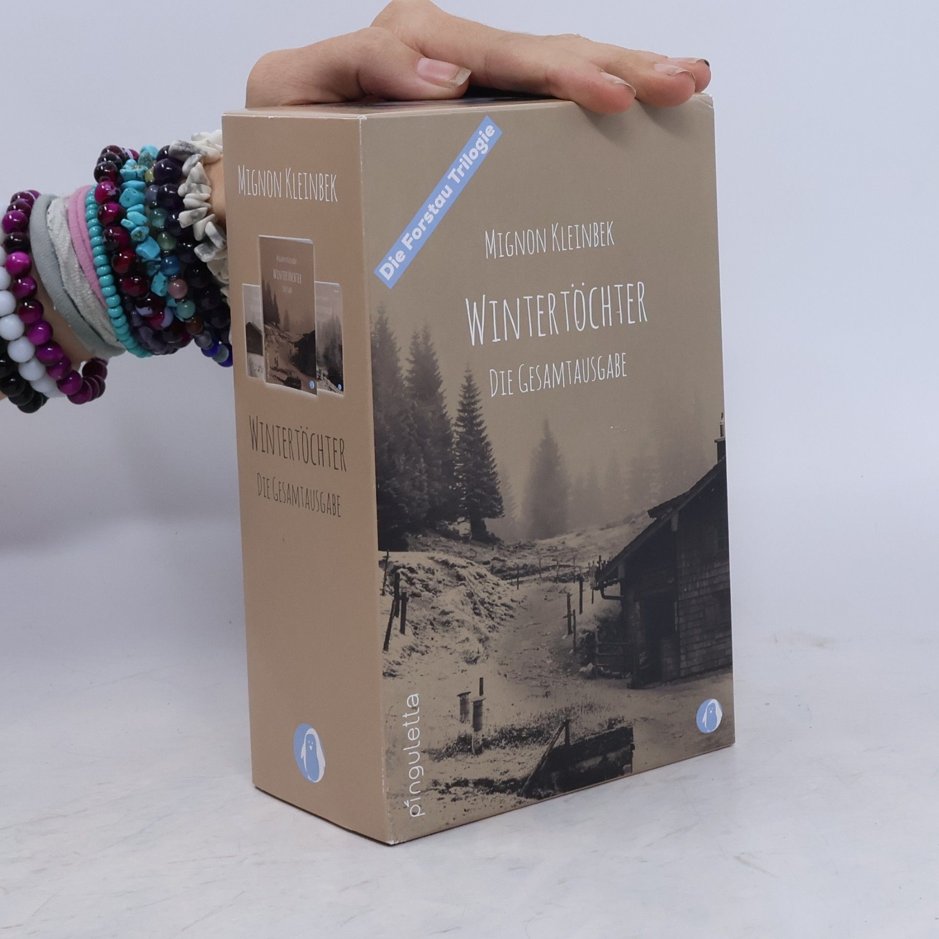 Mignon Kleinbek Wintertöchter Trilogie