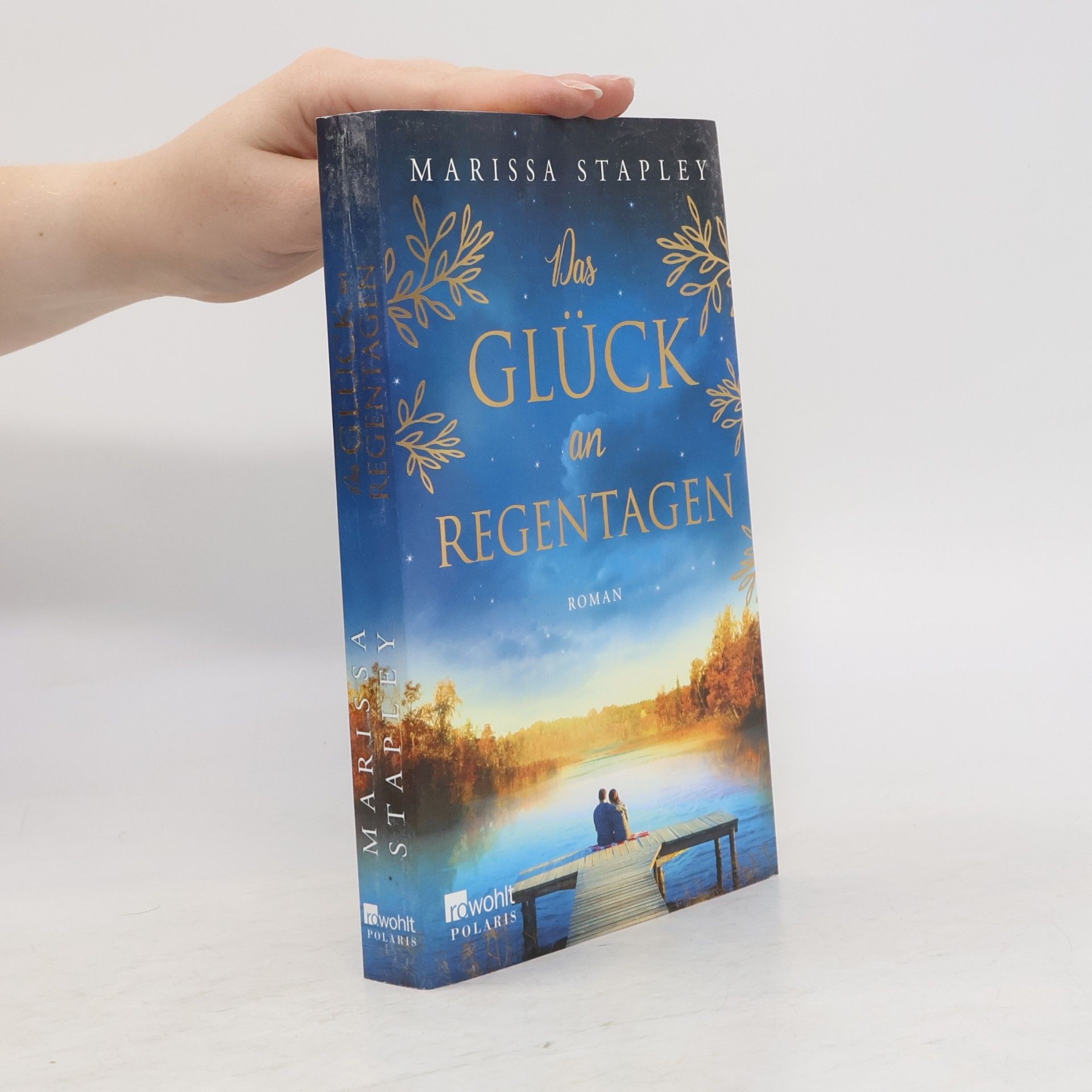 Marissa Stapley Das Glück an Regentagen