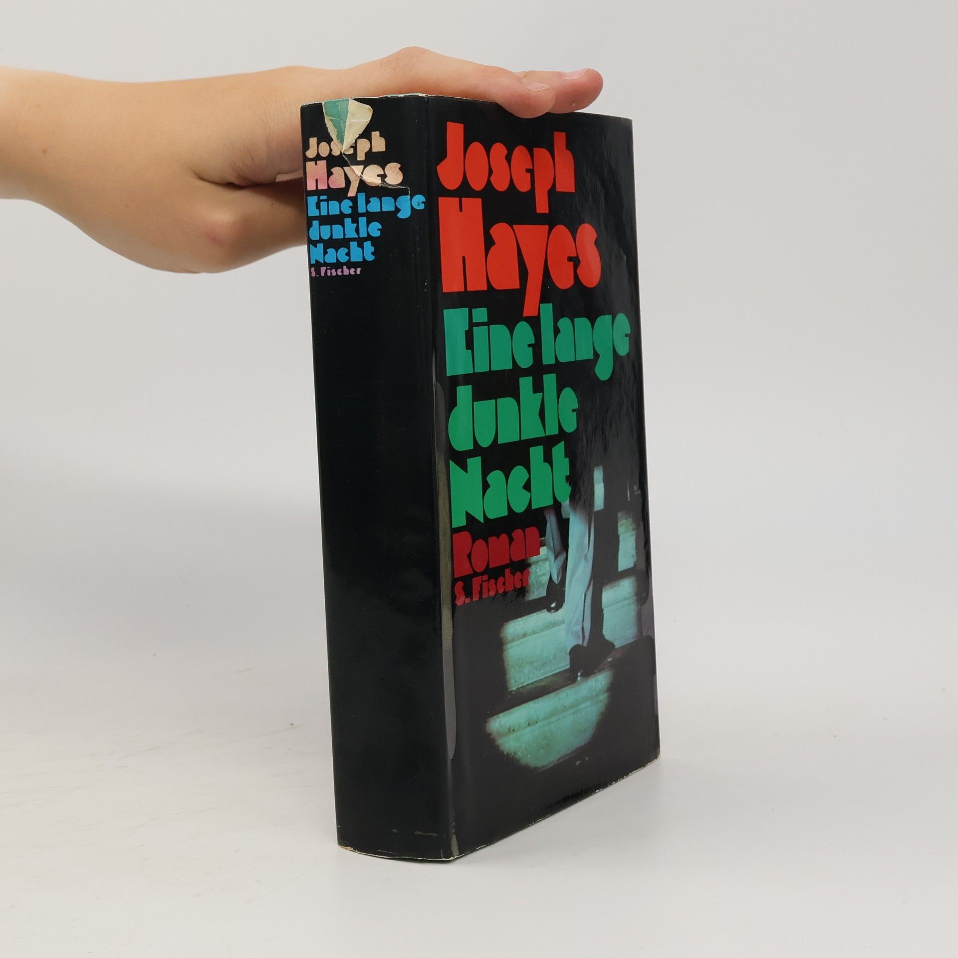 Joseph Hayes Eine lange dunkle Nacht