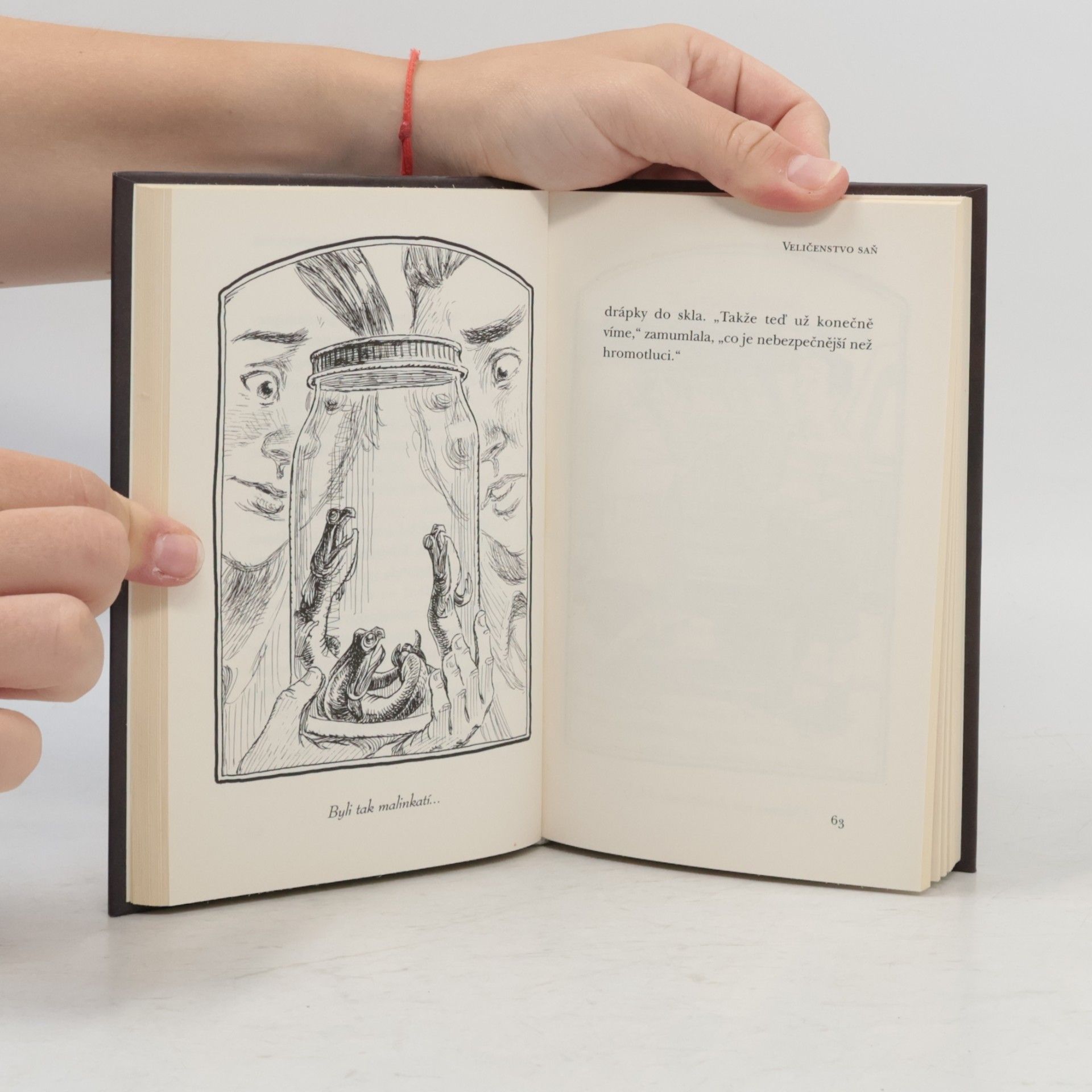 Tony DiTerlizzi Kronika rodu Spiderwicků - a co bylo potom. Kniha 3, Veličenstvo saň