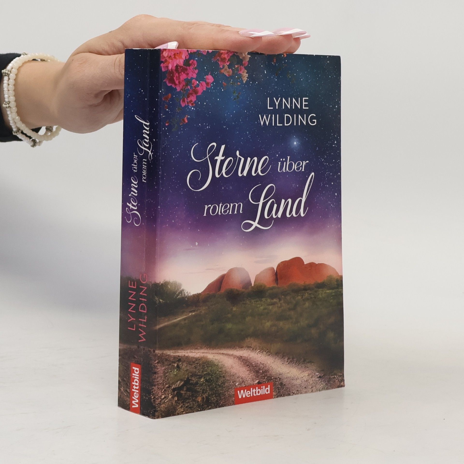 Lynne Wilding Sterne über rotem Land