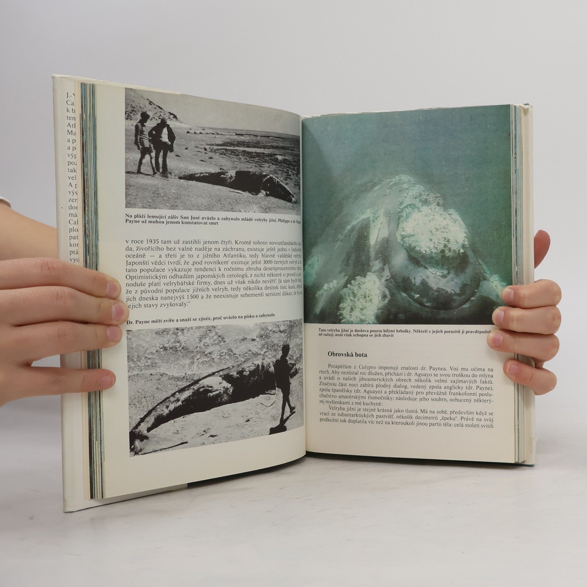 Jacques-Yves Cousteau Život na konci světa