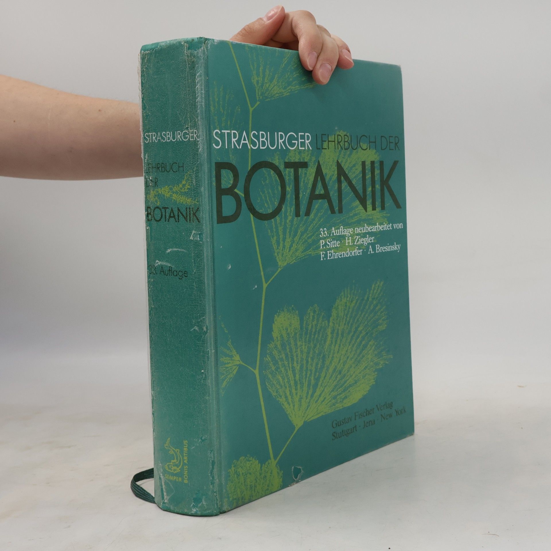 Autorenkollektiv Strasburger Lehrbuch der Botanik