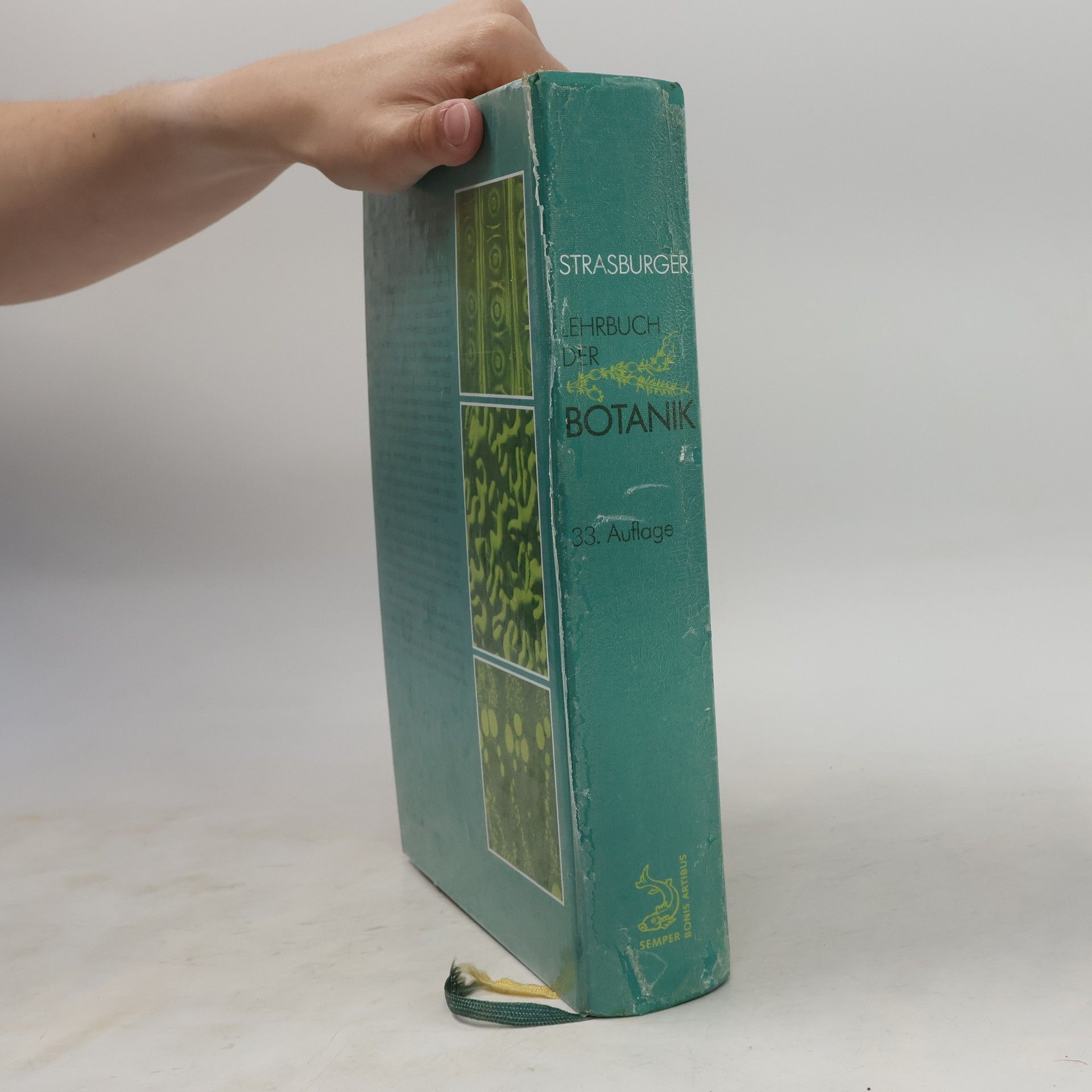Autorenkollektiv Strasburger Lehrbuch der Botanik
