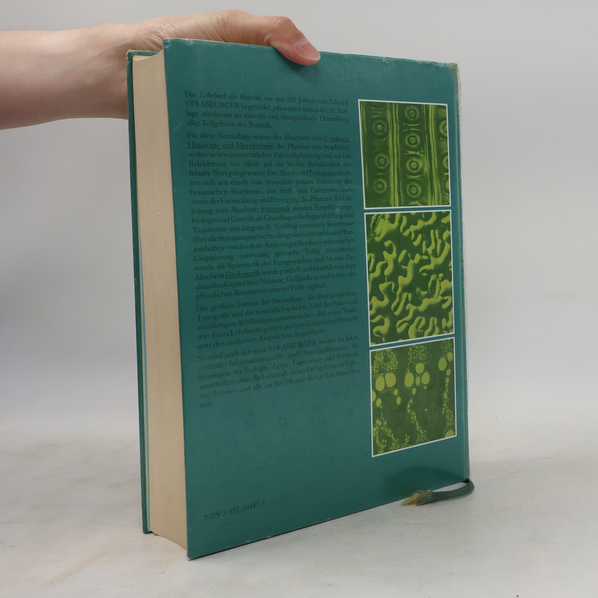Autorenkollektiv Strasburger Lehrbuch der Botanik
