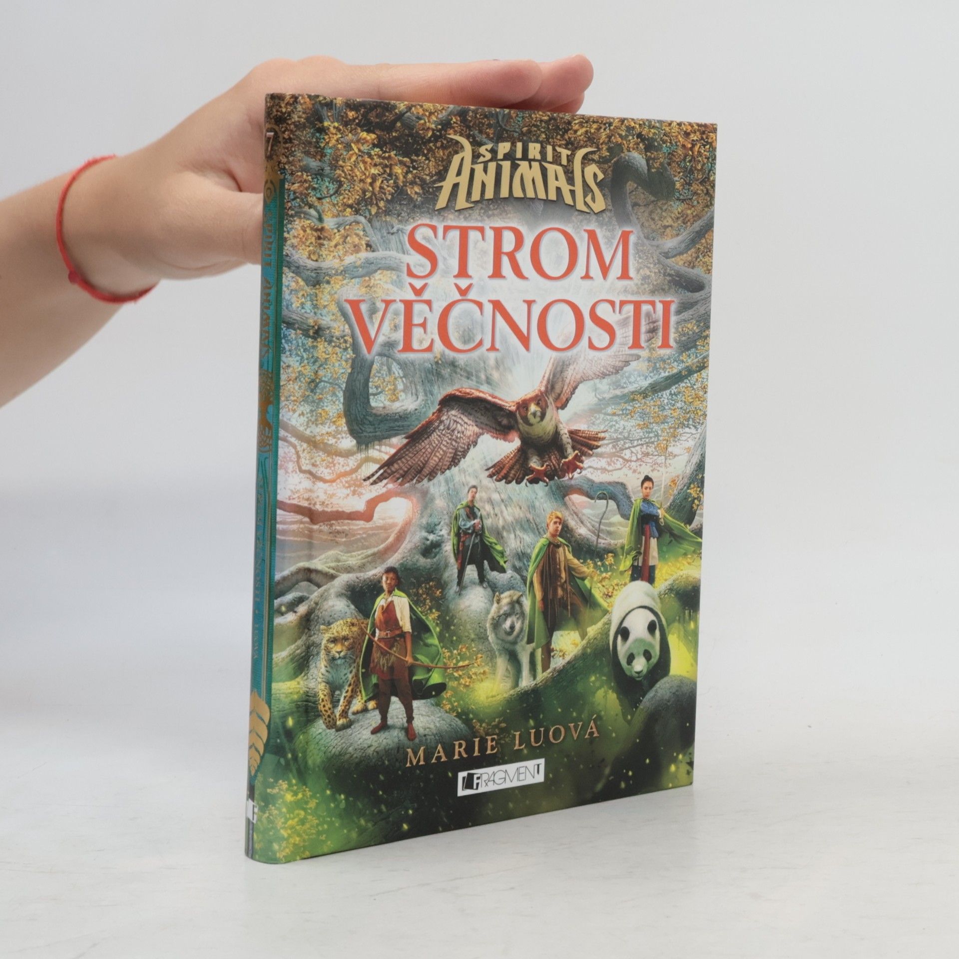 Marie Lu Strom věčnosti