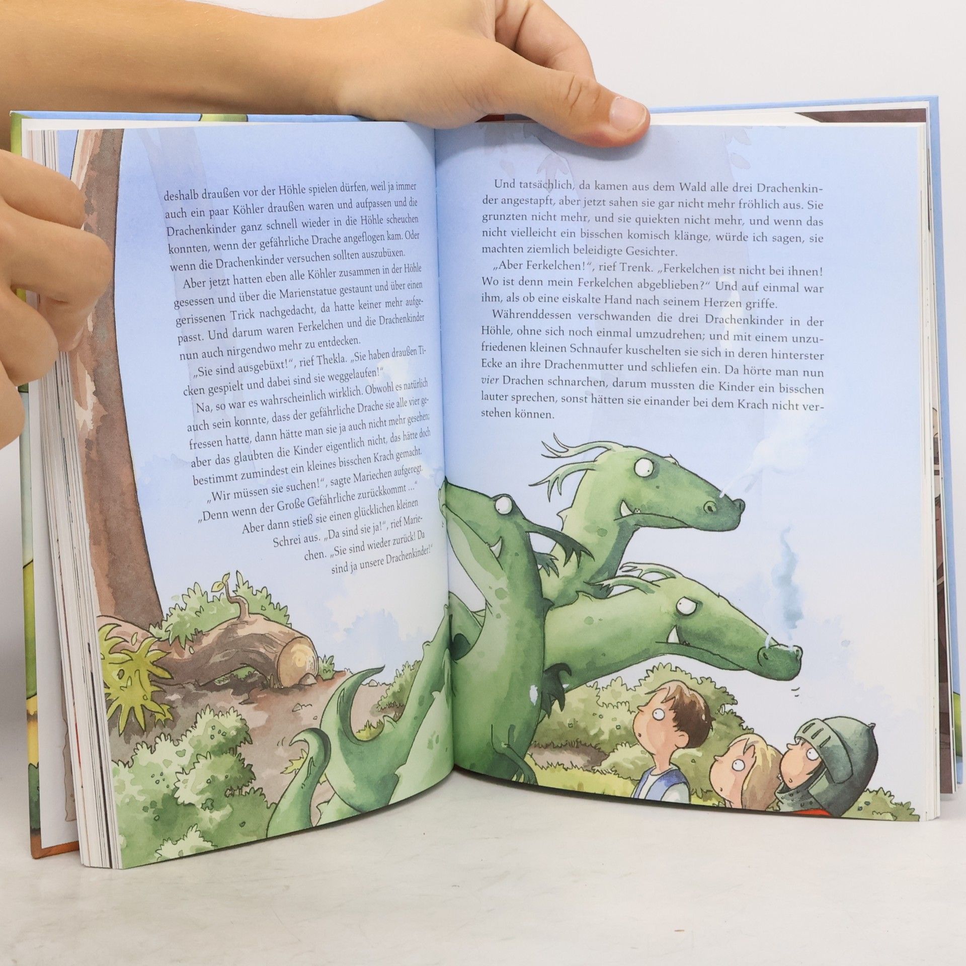 Kirsten Boie Der kleine Ritter Trenk und der Große Gefährliche