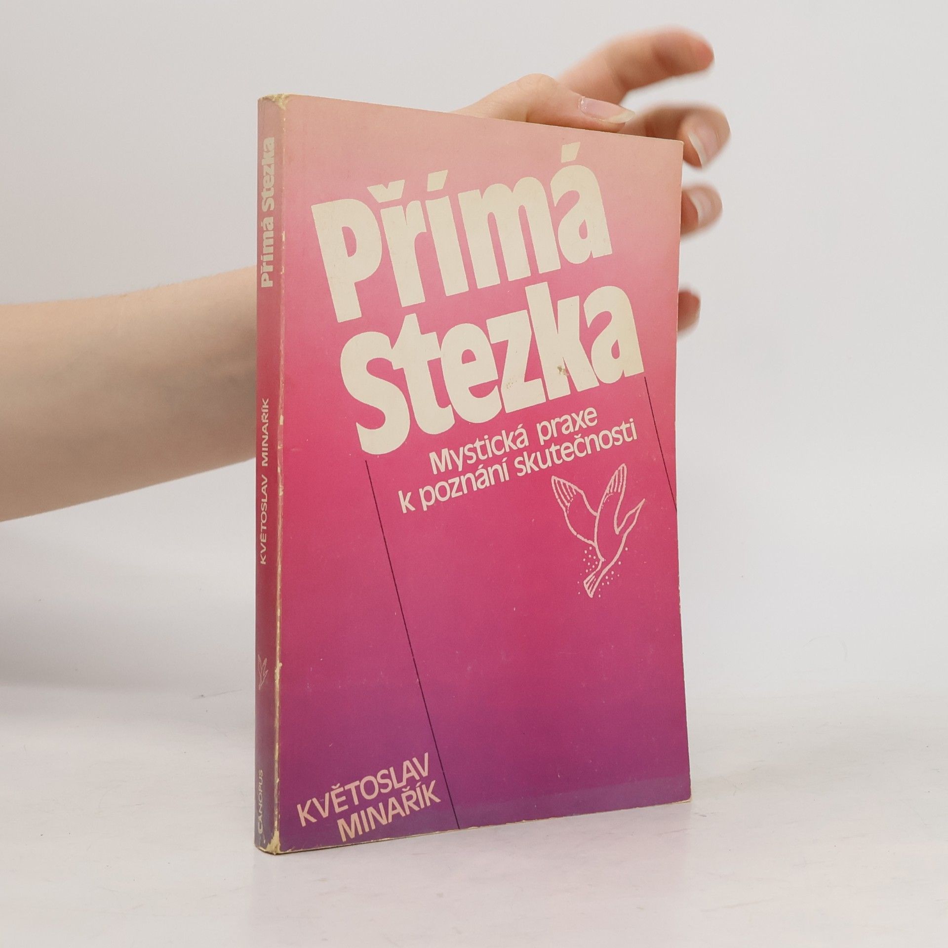 Květoslav Minařík Přímá stezka