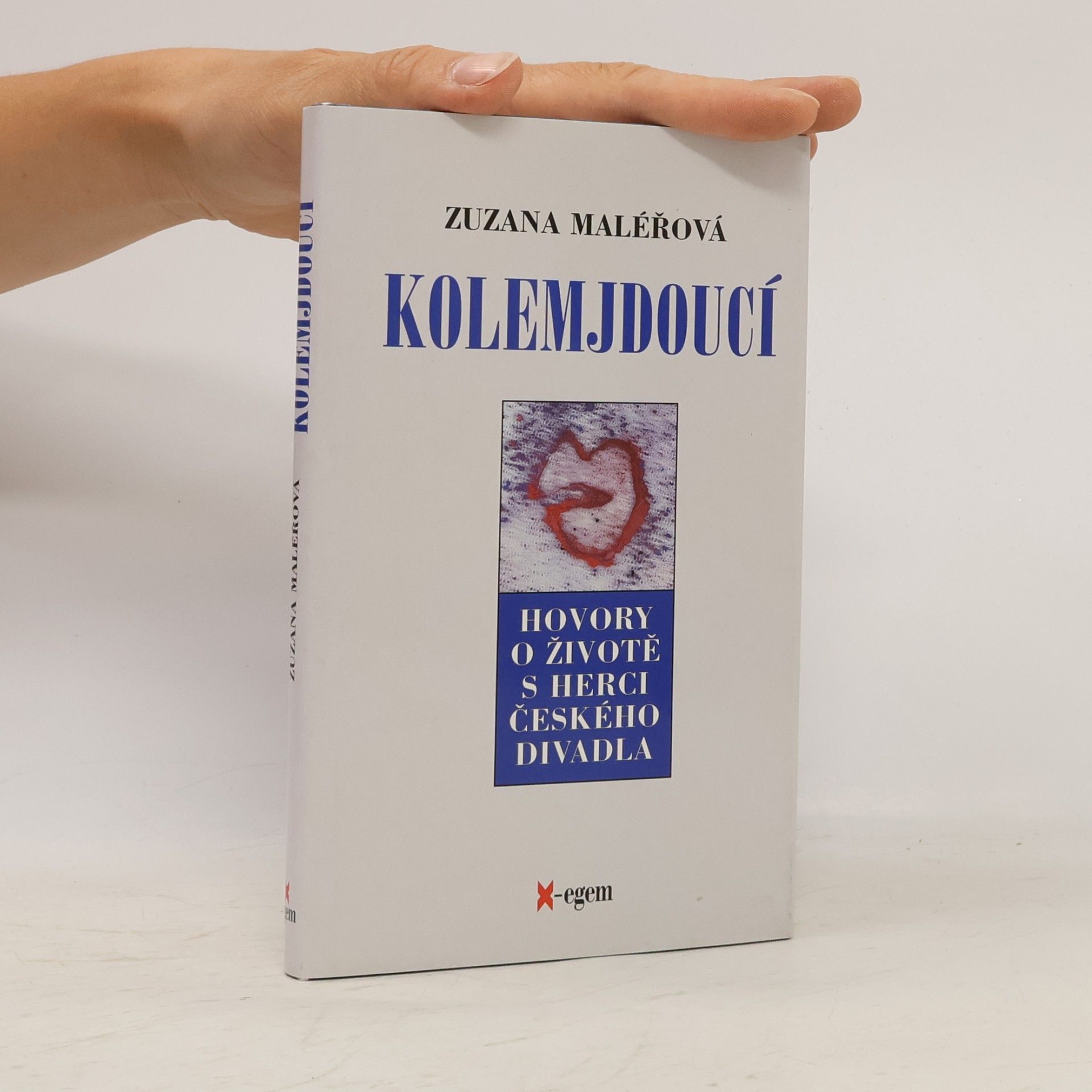 Zuzana Maléřová Kolemjdoucí