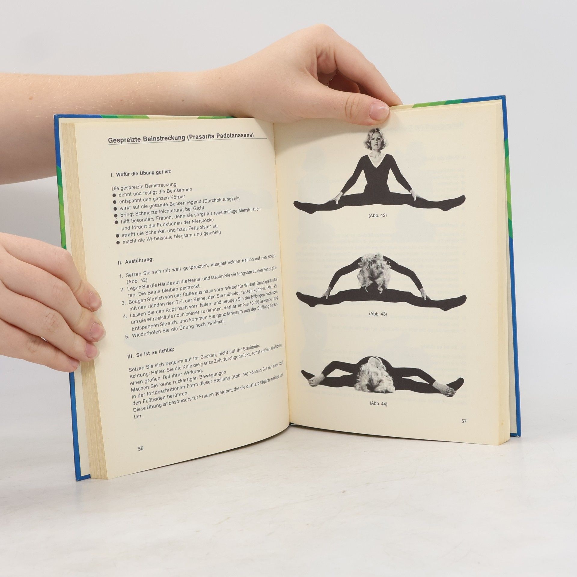 Kareen Zebroff Yoga für Jeden