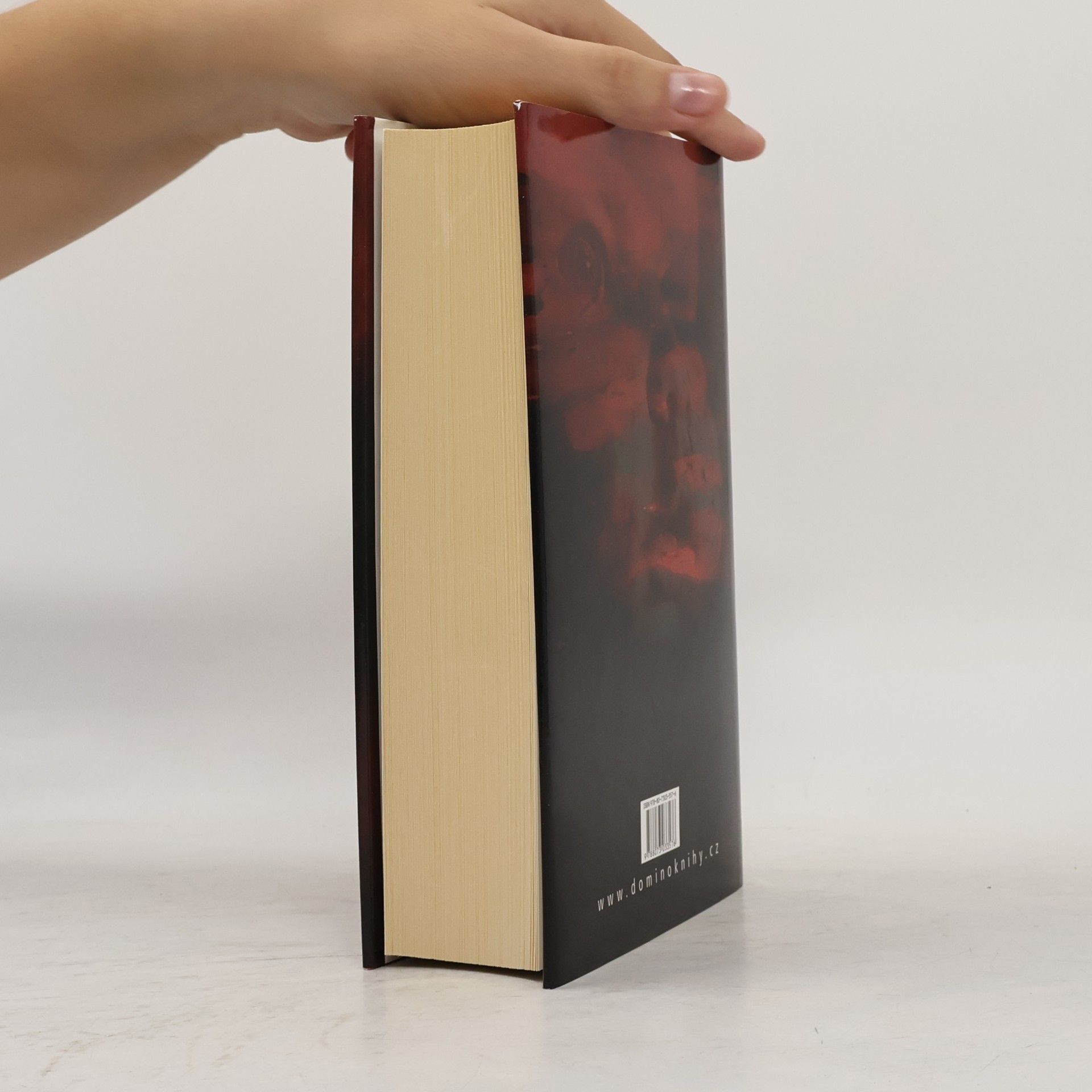 Jeffery Deaver Spící panna