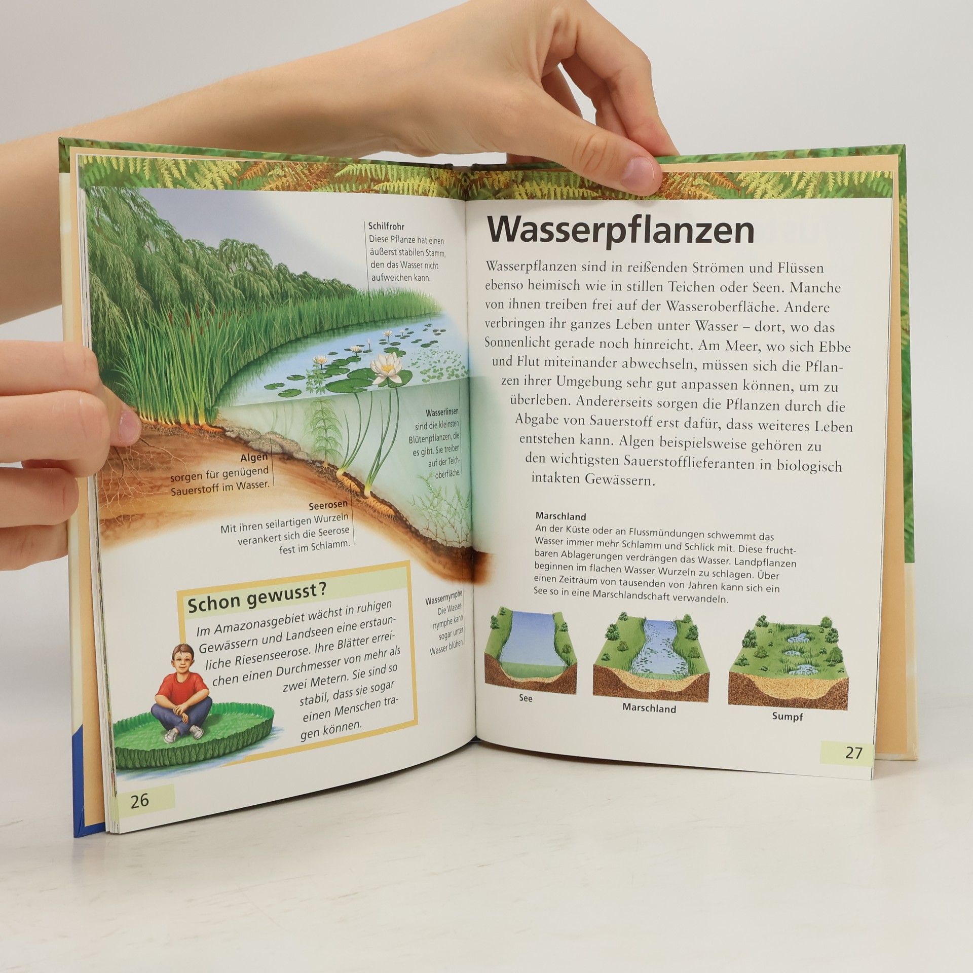 Christiane Burkhardt Ravensburger Kinderbibliothek: Wunder der Natur