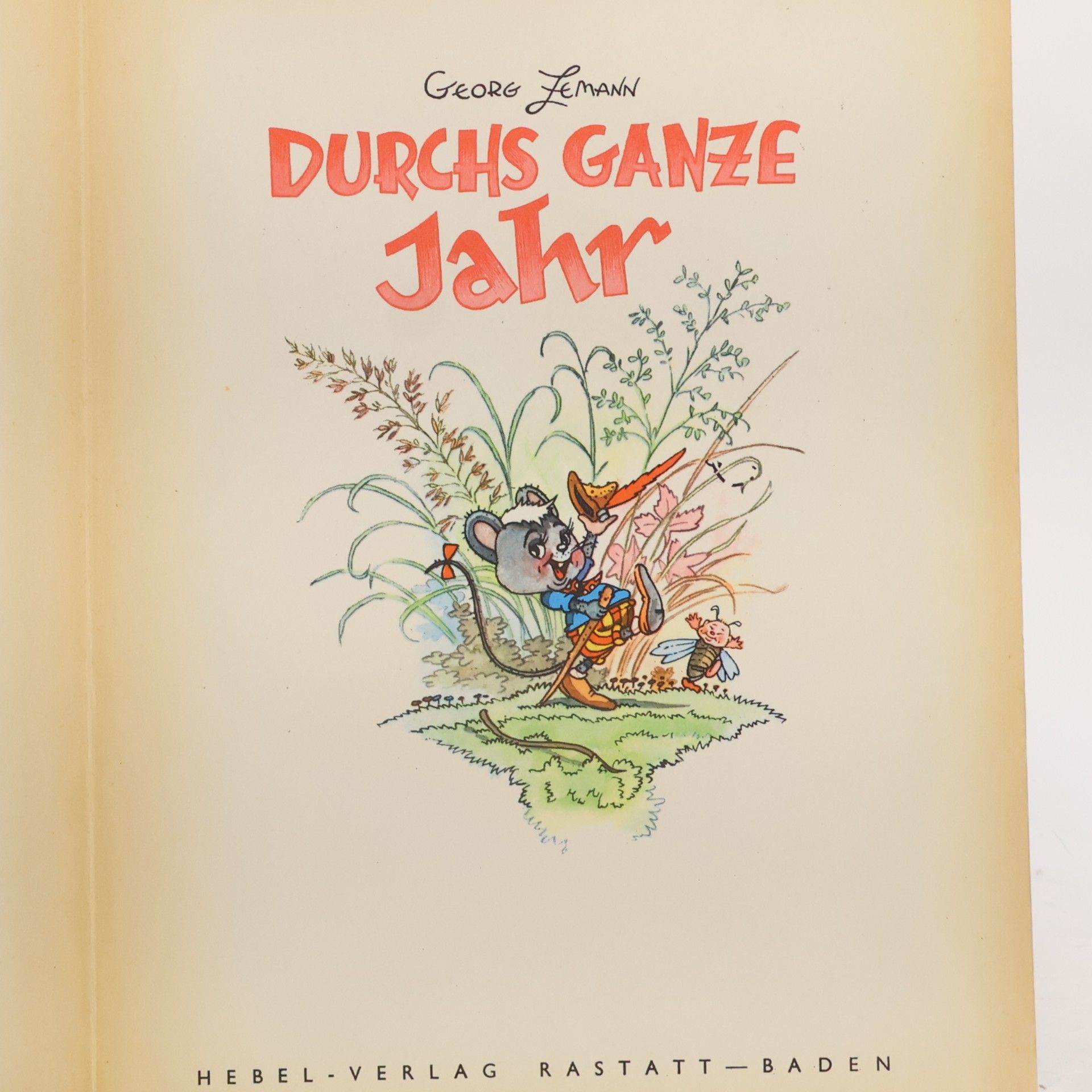 Georg Zemann Durchs Ganze Jahr