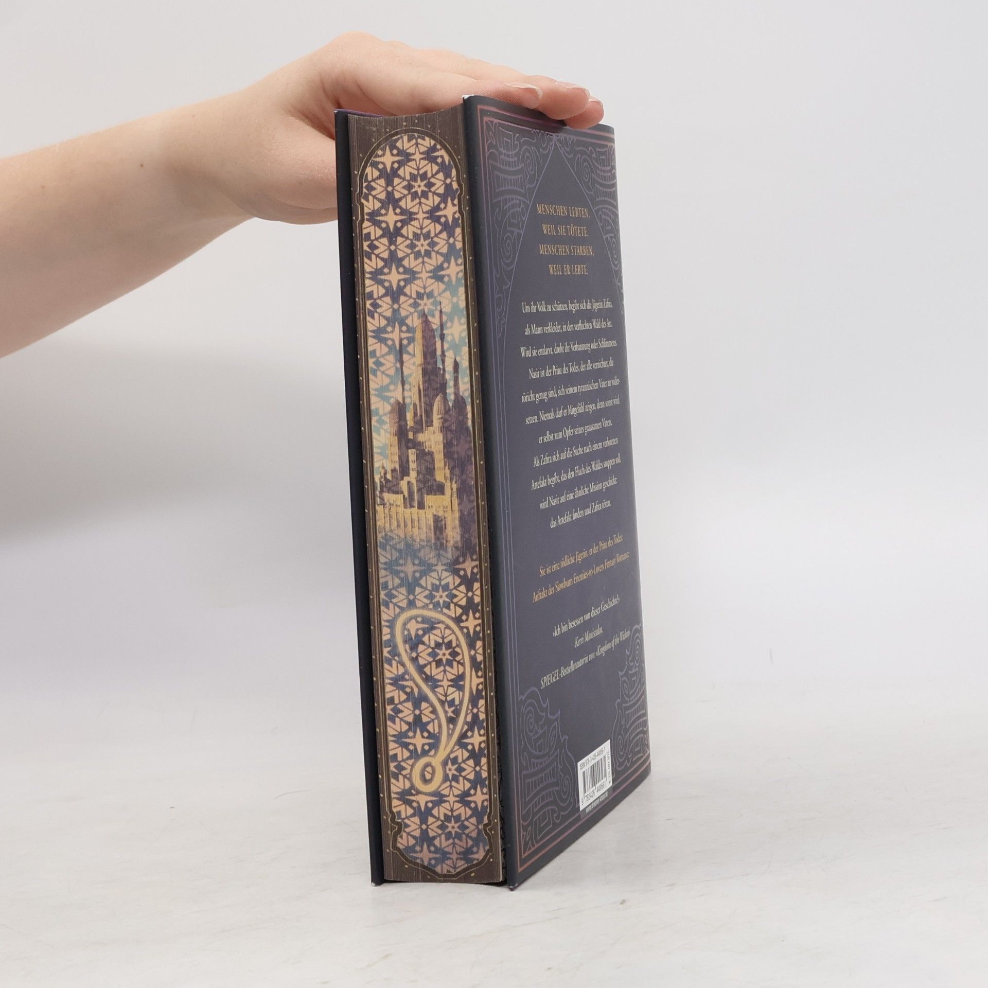 Hafsah Faizal We hunt the Flame / Die Reiche von Arawiya Bd.1