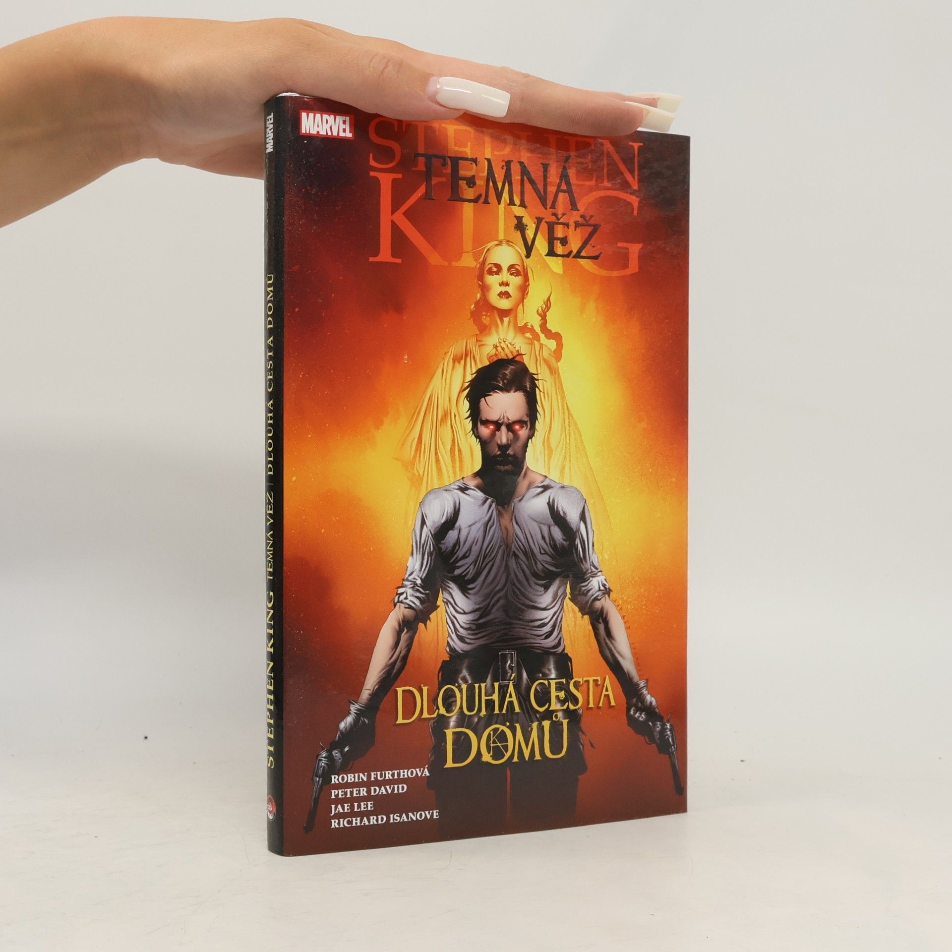 Stephen King Temná věž. Dlouhá cesta domů