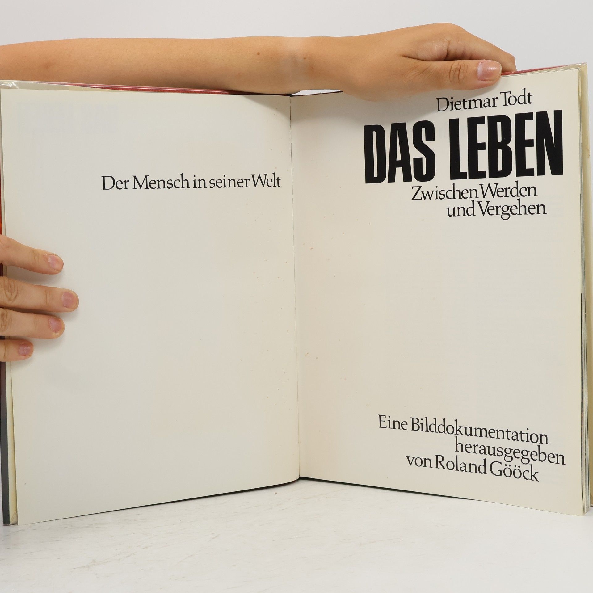 Autorenkollektiv Das Leben. Zwischen Werden und Vergehen
