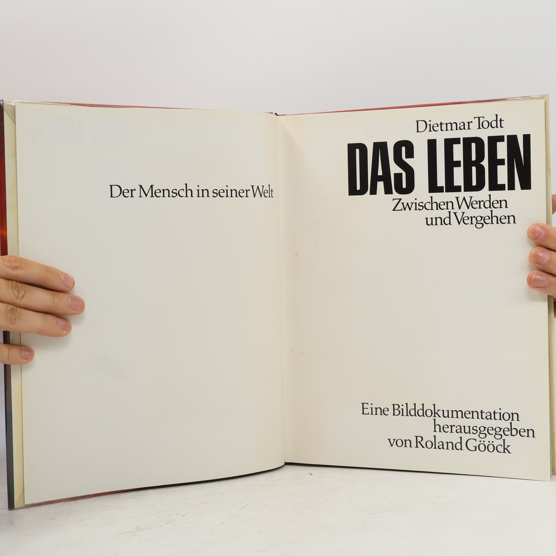 Autorenkollektiv Das Leben. Zwischen Werden und Vergehen