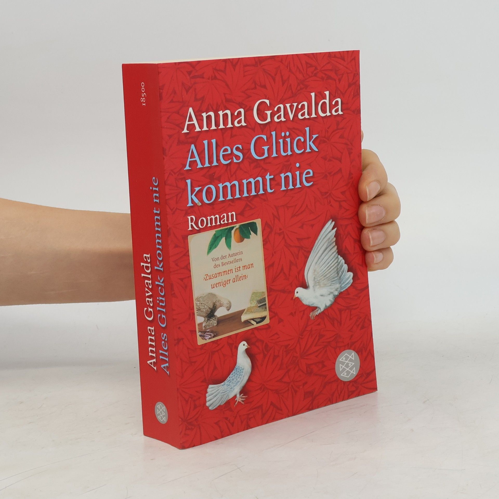 Anna Gavalda Alles Glück kommt nie