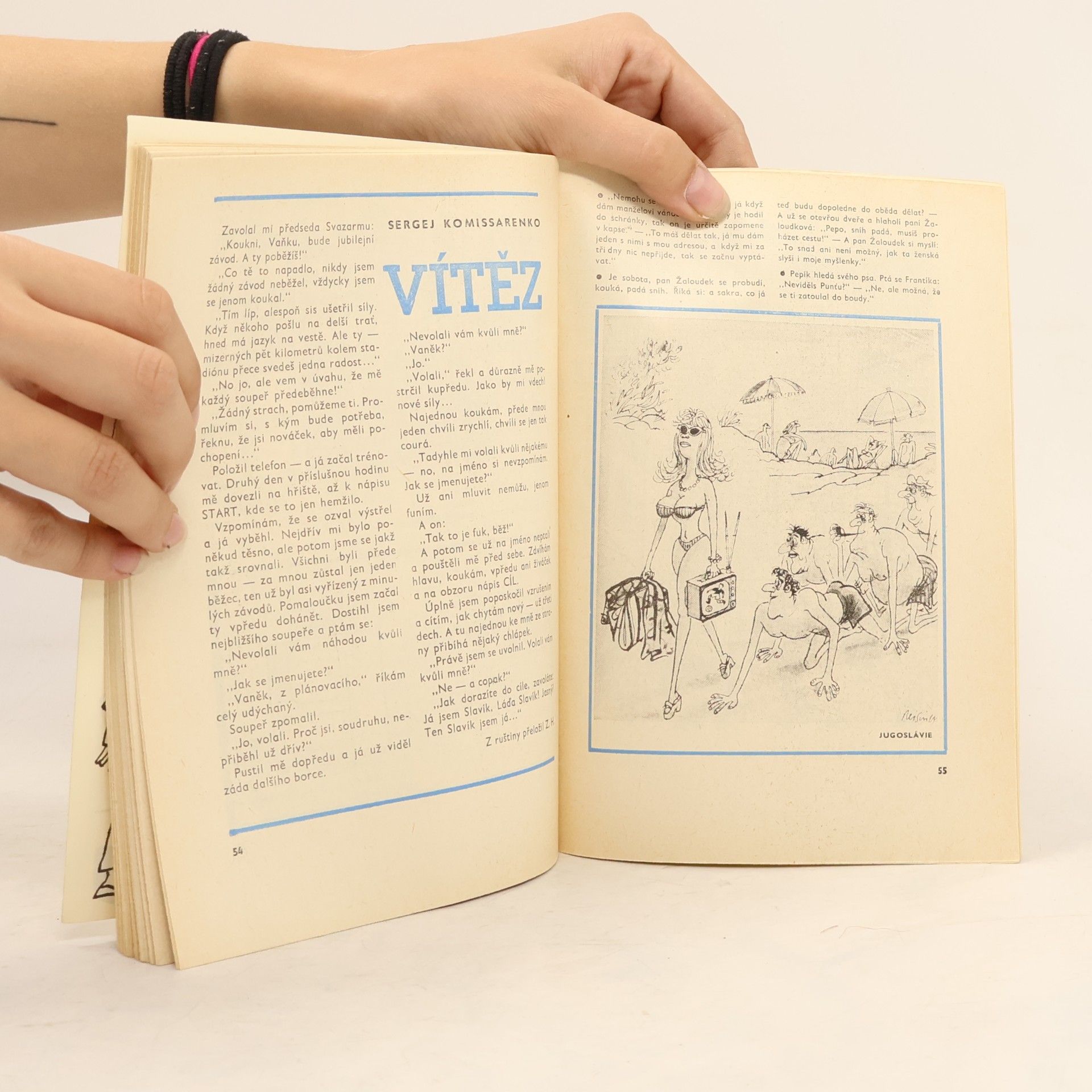 Kolektiv autorů Humoristický minikalendář dikobrazu 78