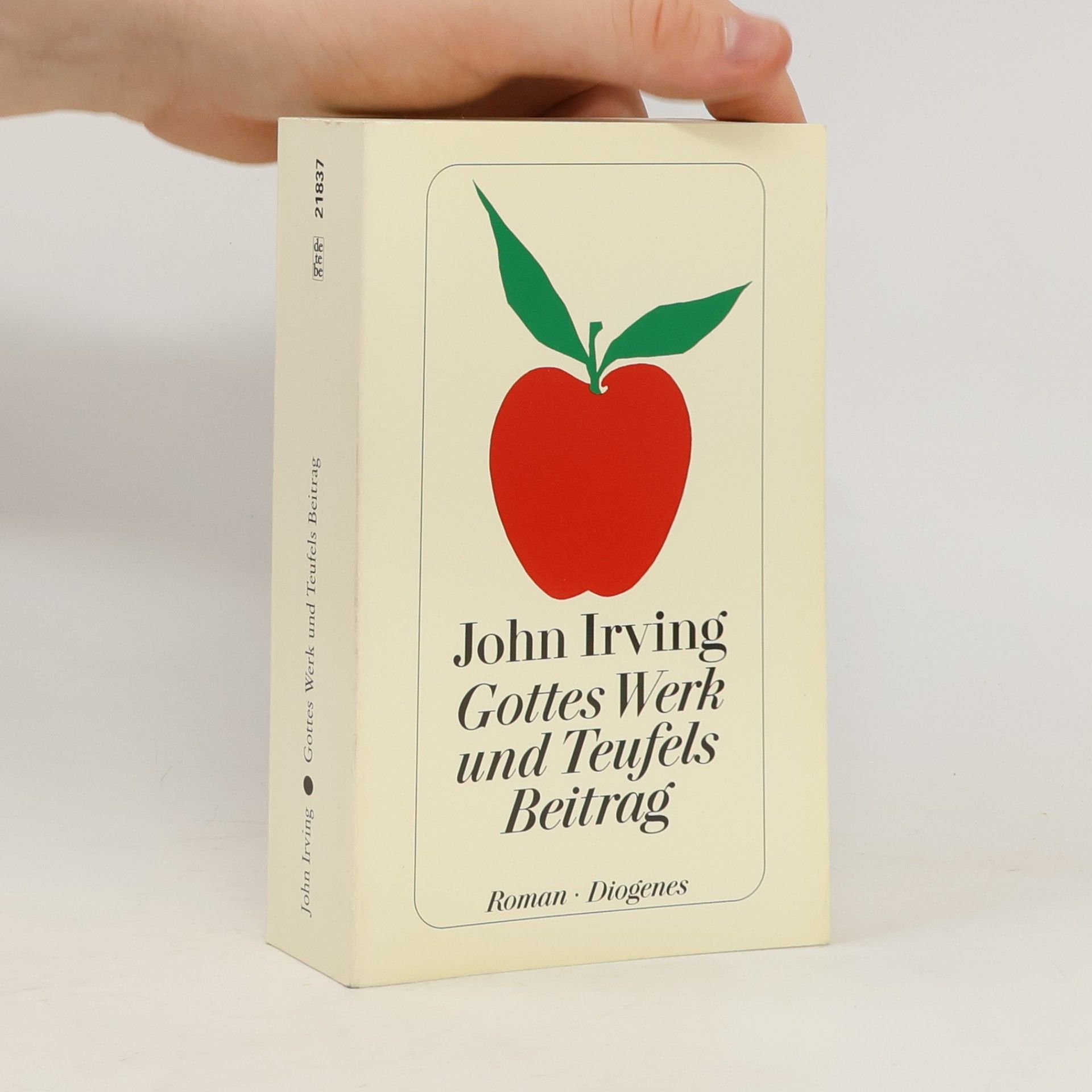 John Irving Gottes Werk und Teufels Beitrag