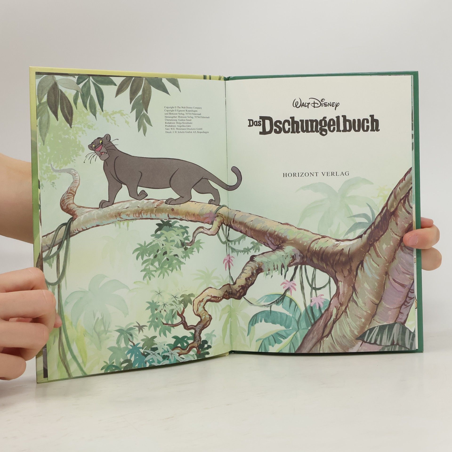 Walt Disney Das Dschungelbuch