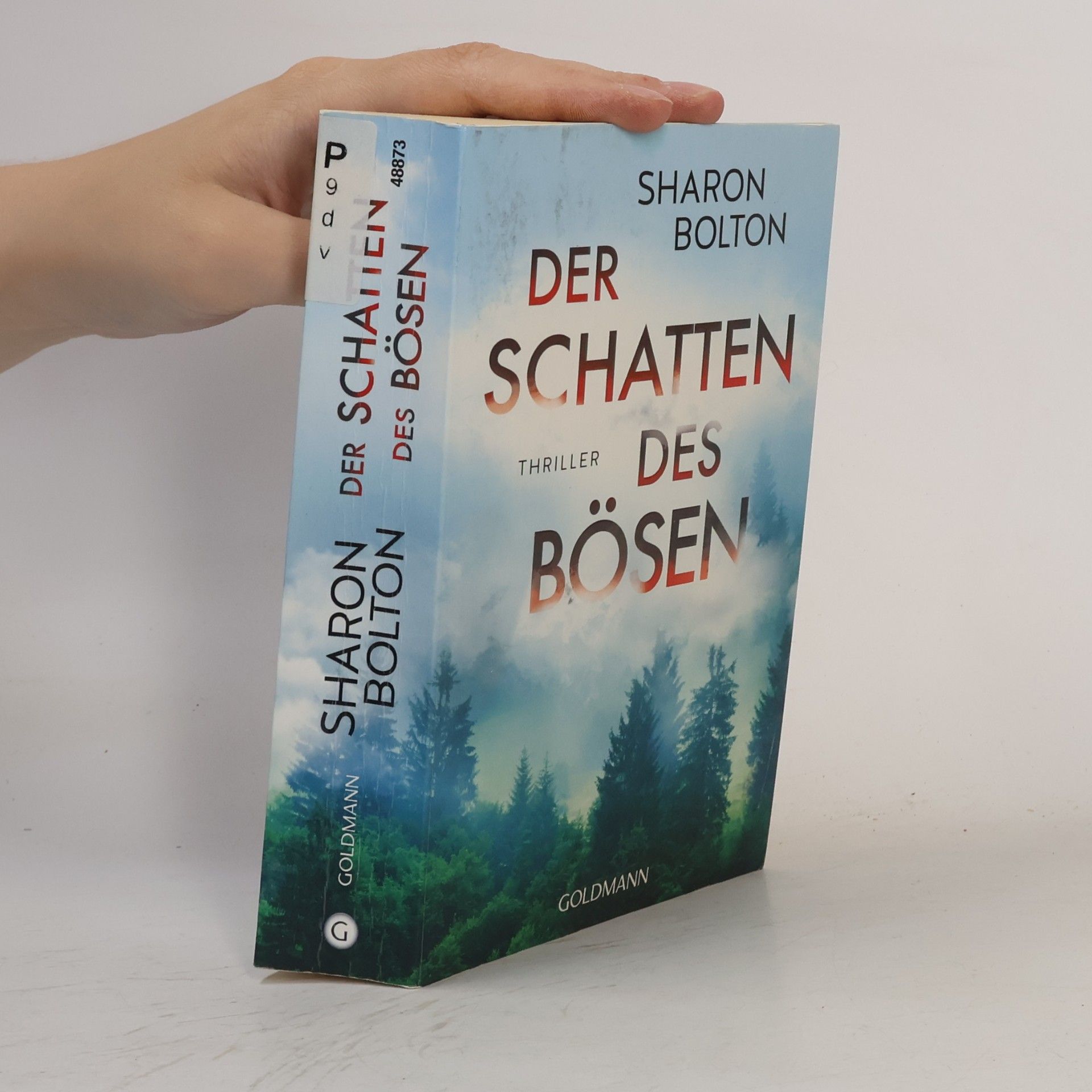 Sharon J. Bolton Der Schatten des Bösen