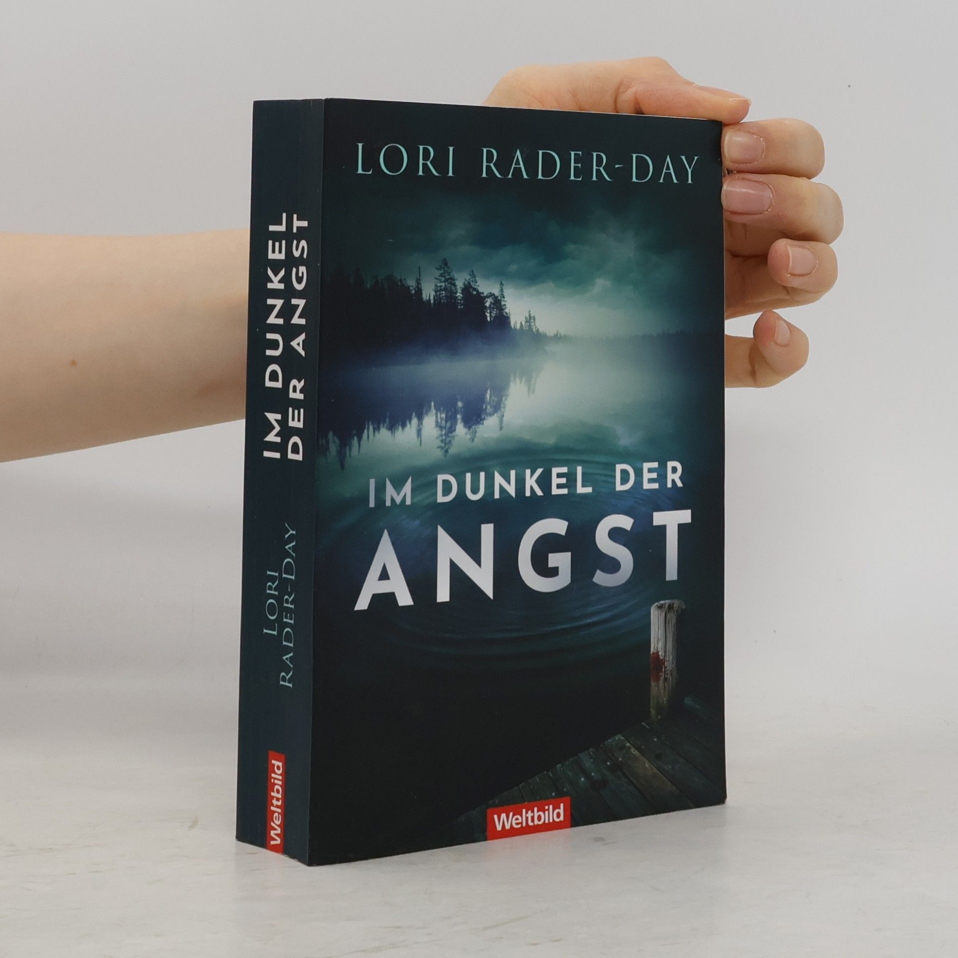 Lori Rader-Day Im Dunkel der Angst