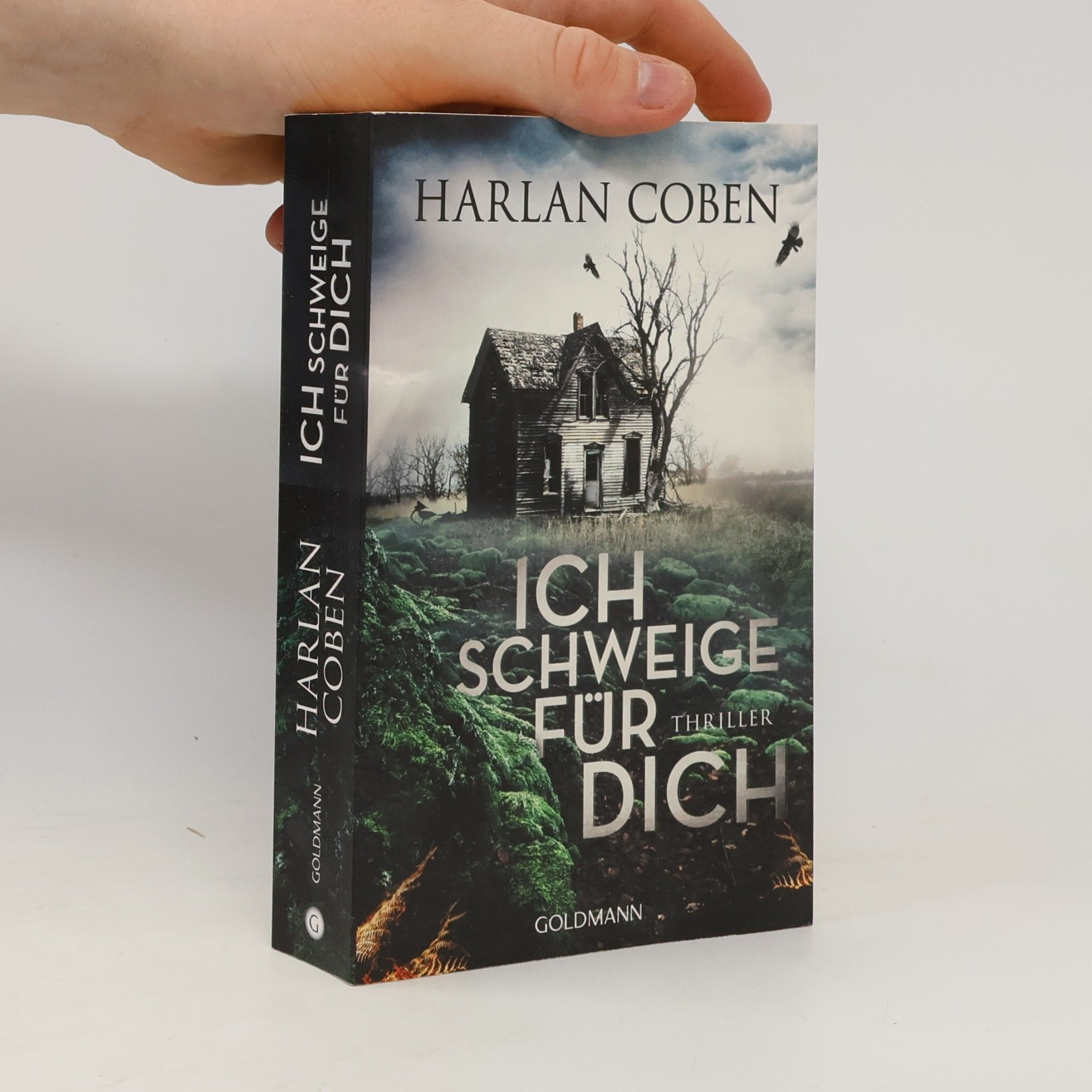 Harlan Coben Ich Schweige für dich