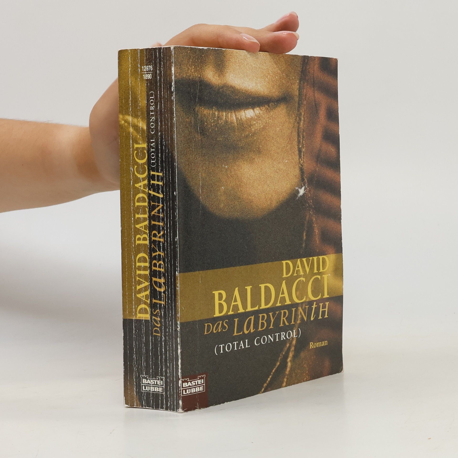 David Baldacci Das Labyrinth