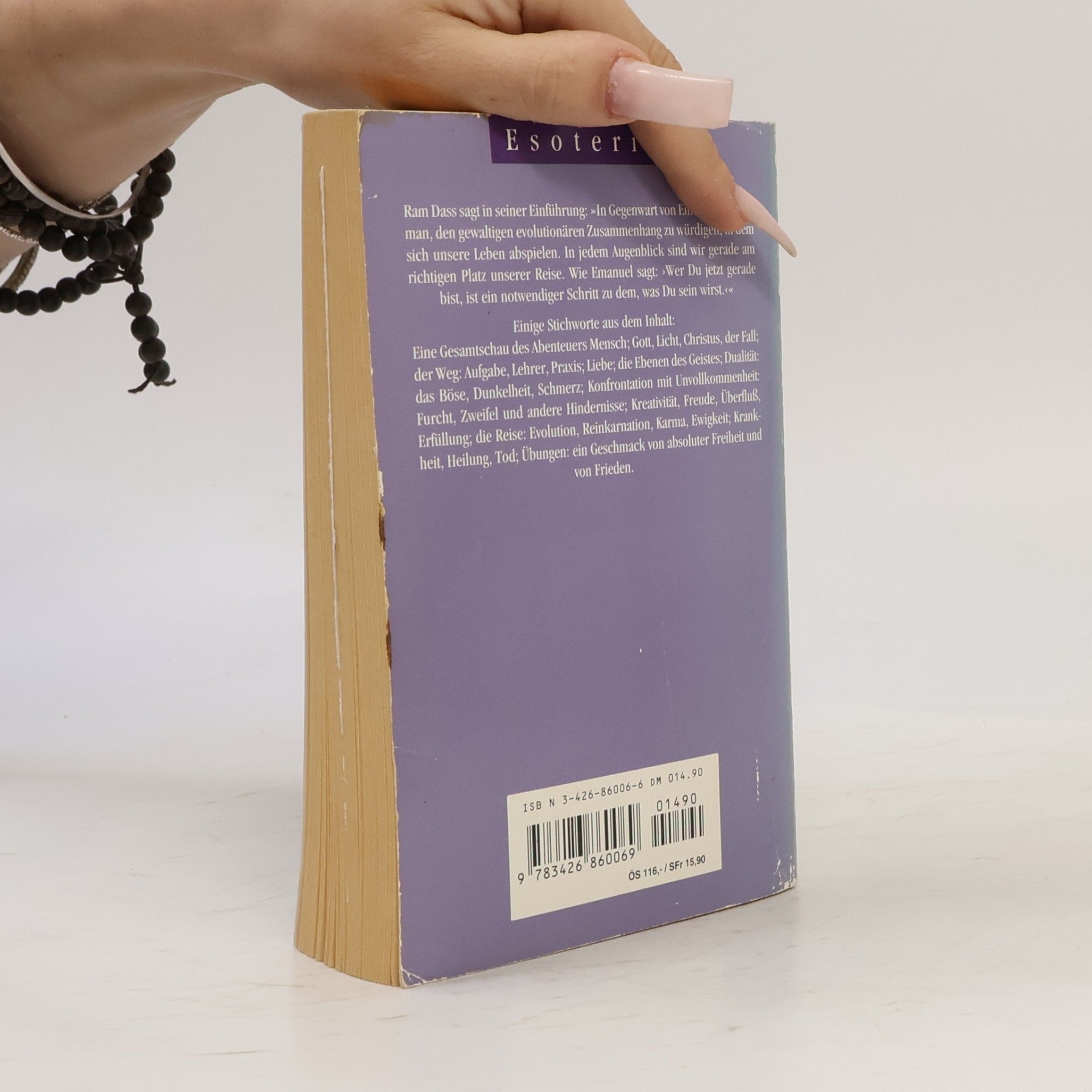 Pat Rodegast Emanuels Buch