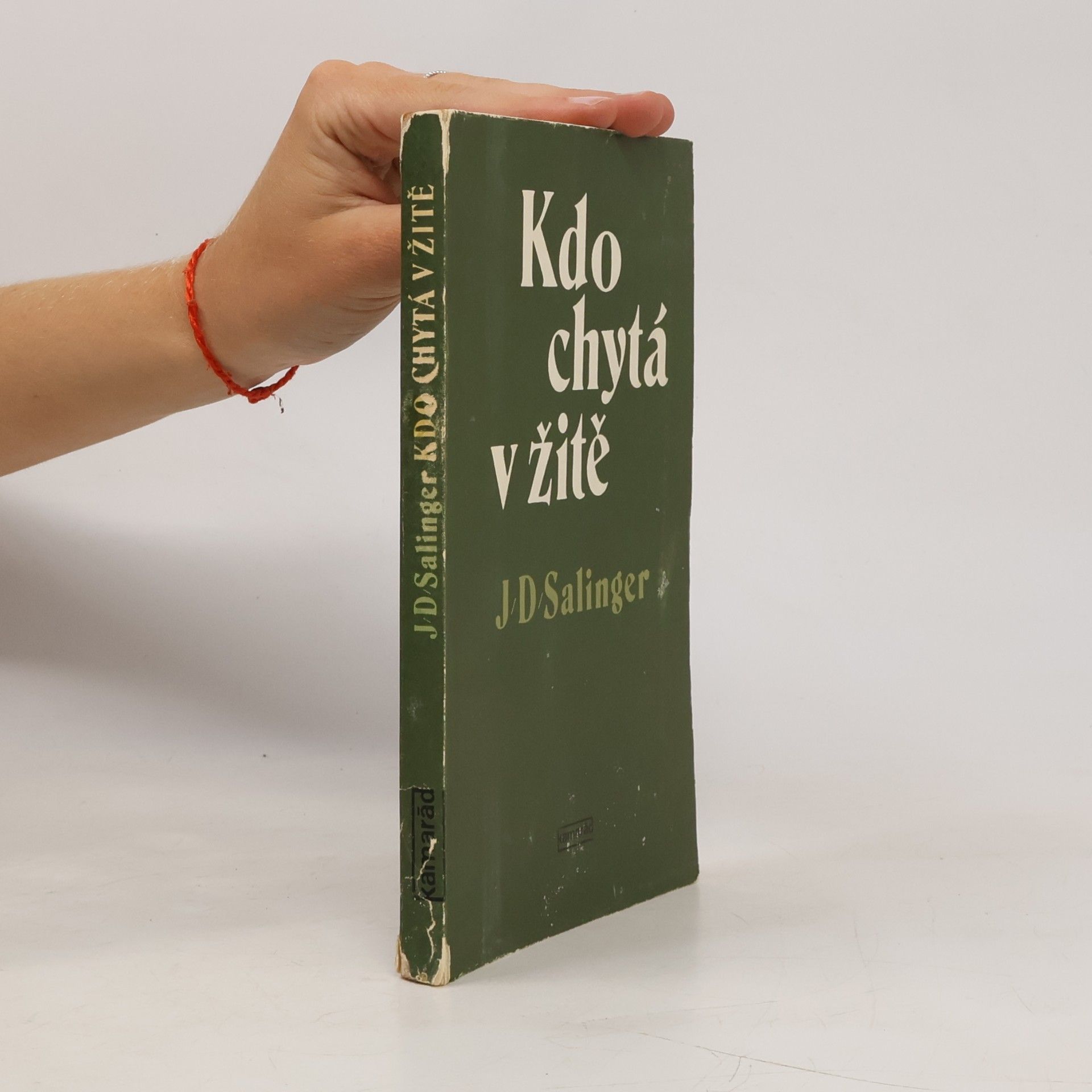 J. D. Salinger Kdo chytá v žitě